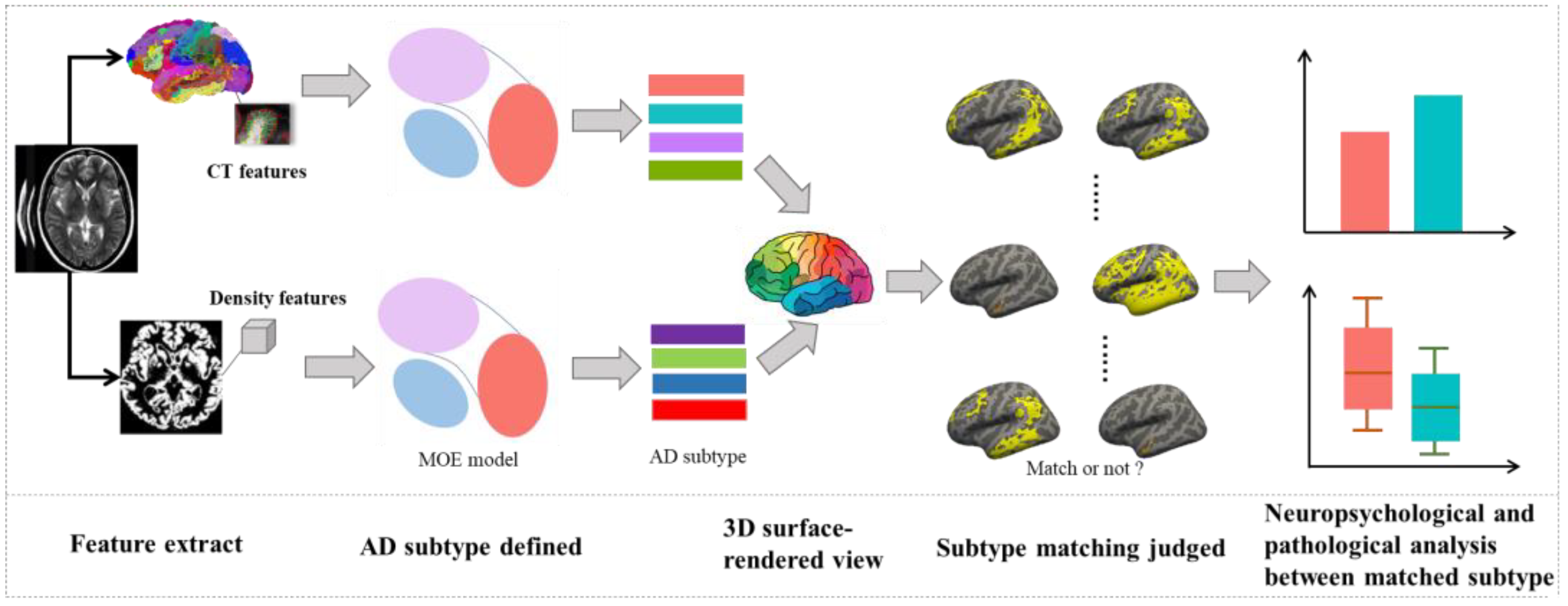 Brainsci 12 00187 g002