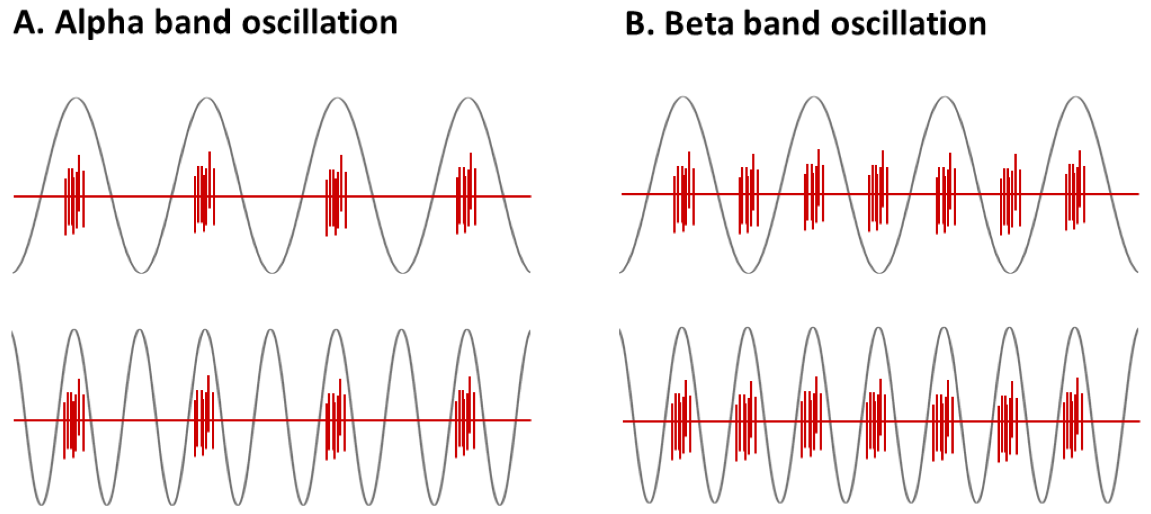 Brainsci 12 00195 g001