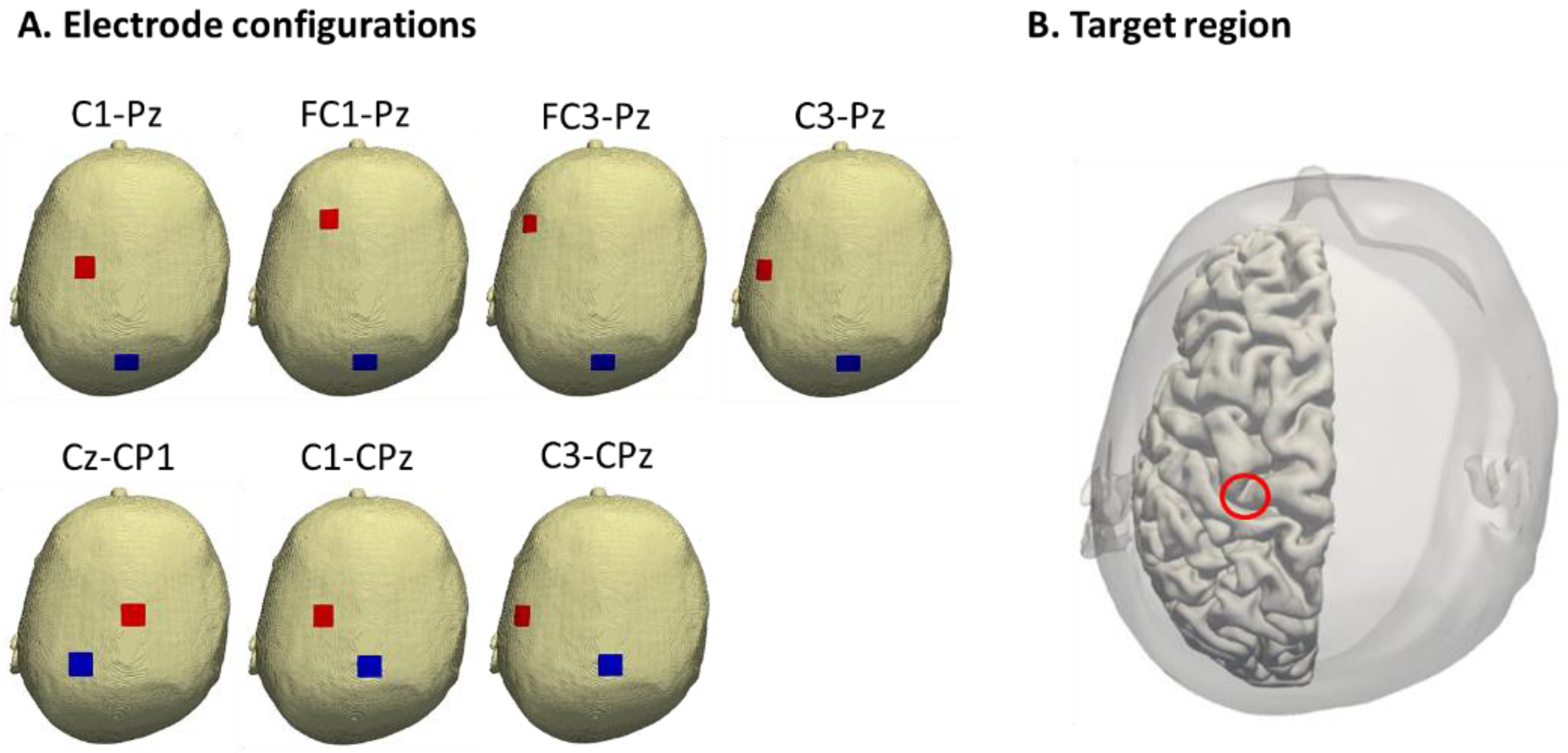 Brainsci 12 00195 g002