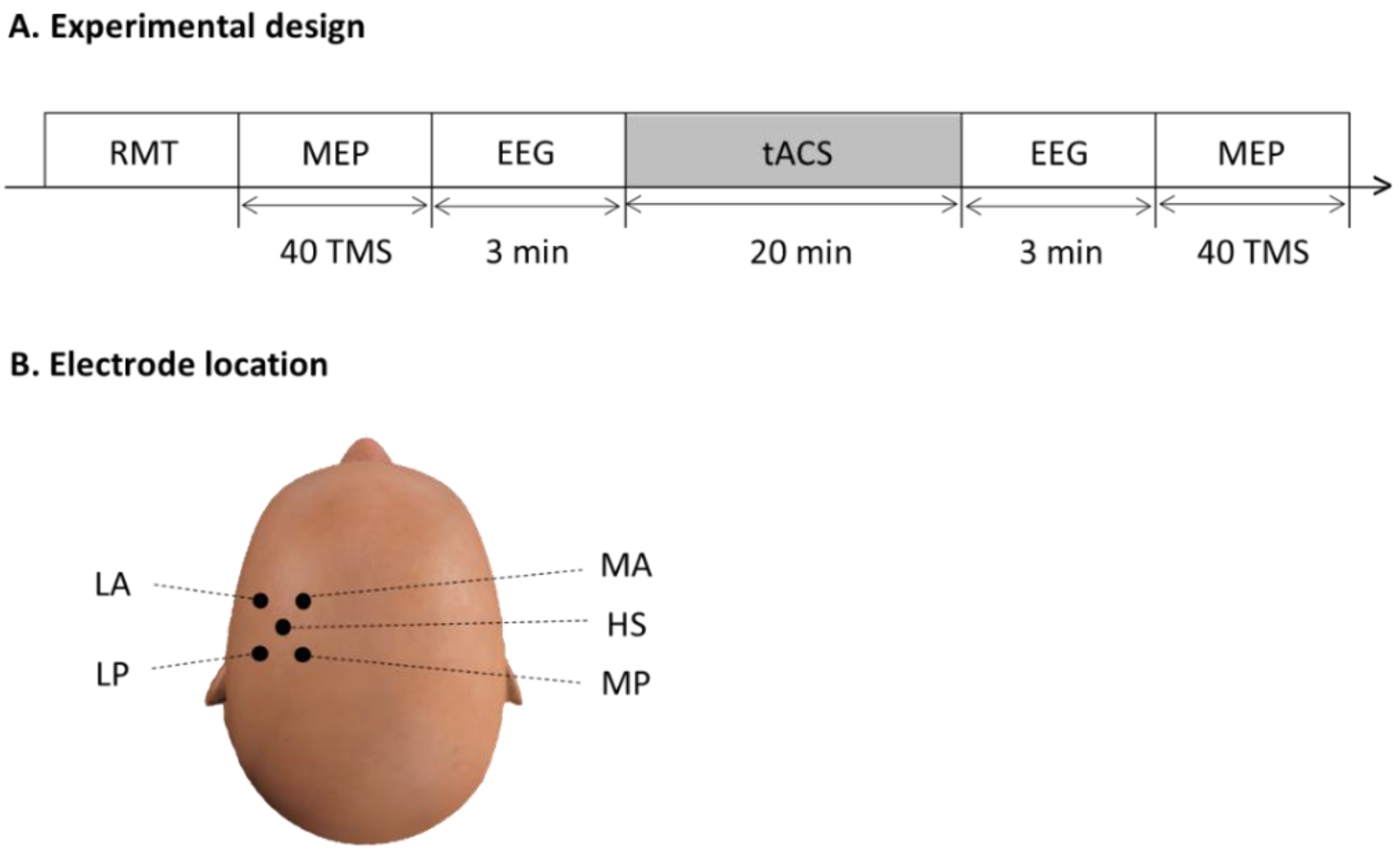 Brainsci 12 00195 g003