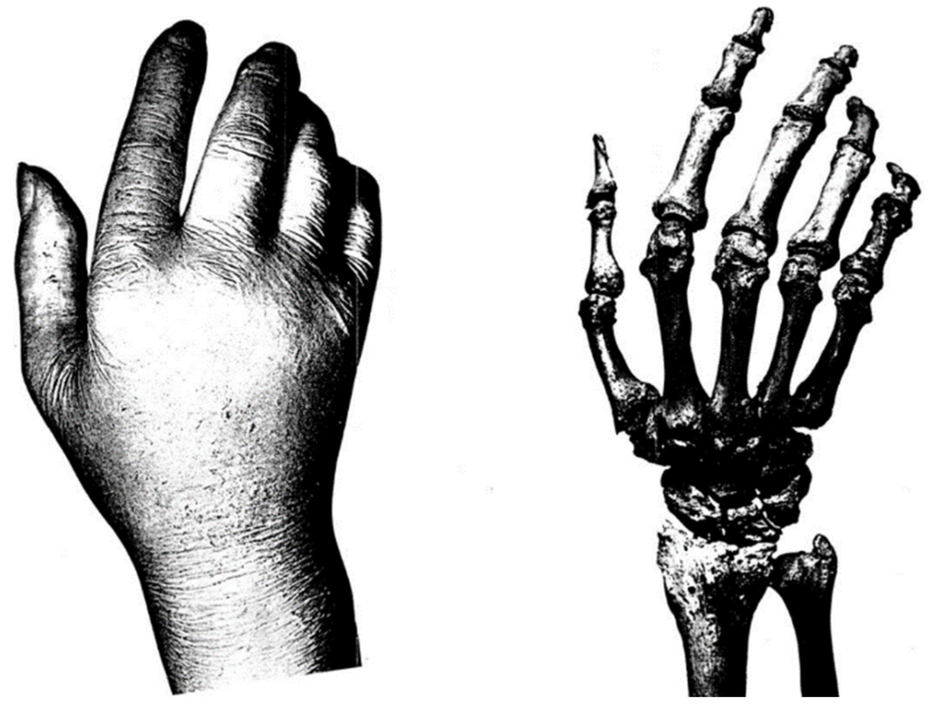 Brainsci 12 00224 g002