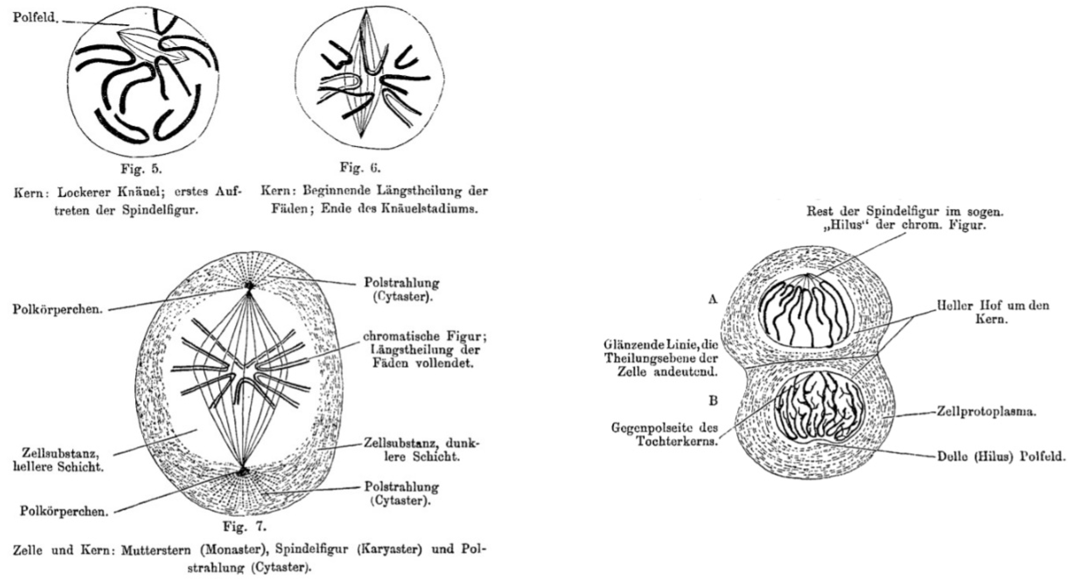 Brainsci 12 00224 g004