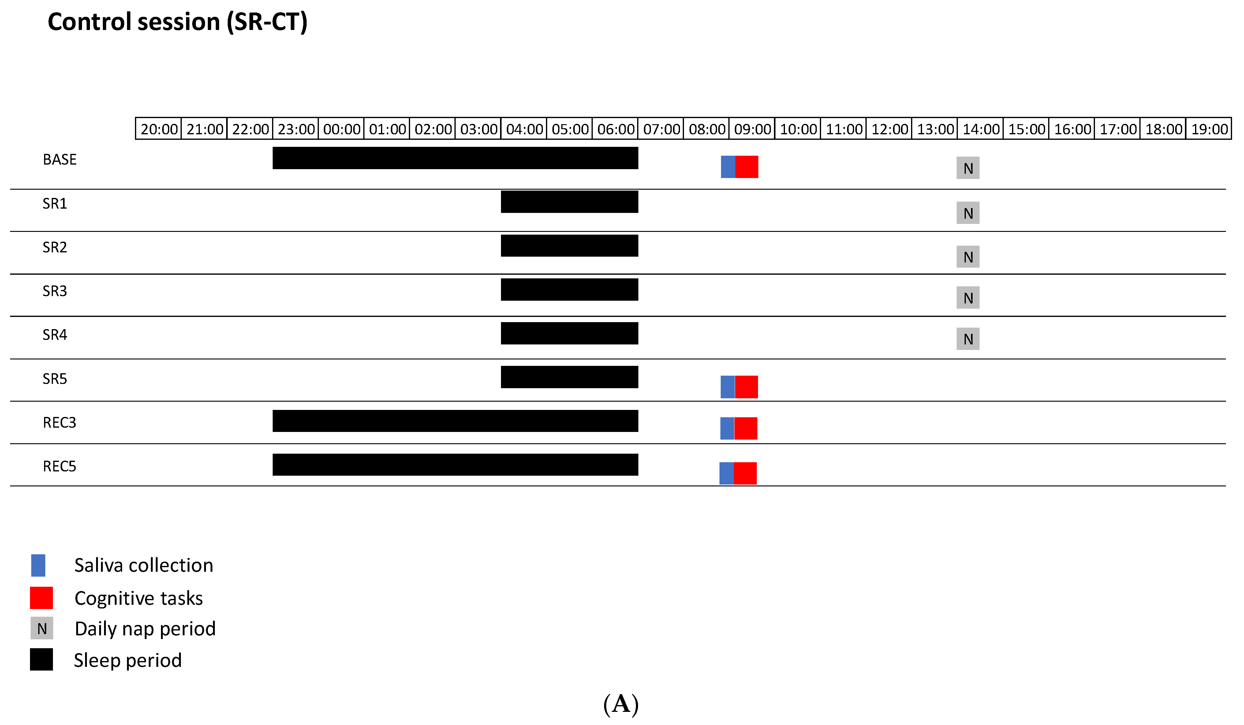 Brainsci 12 00229 g001a