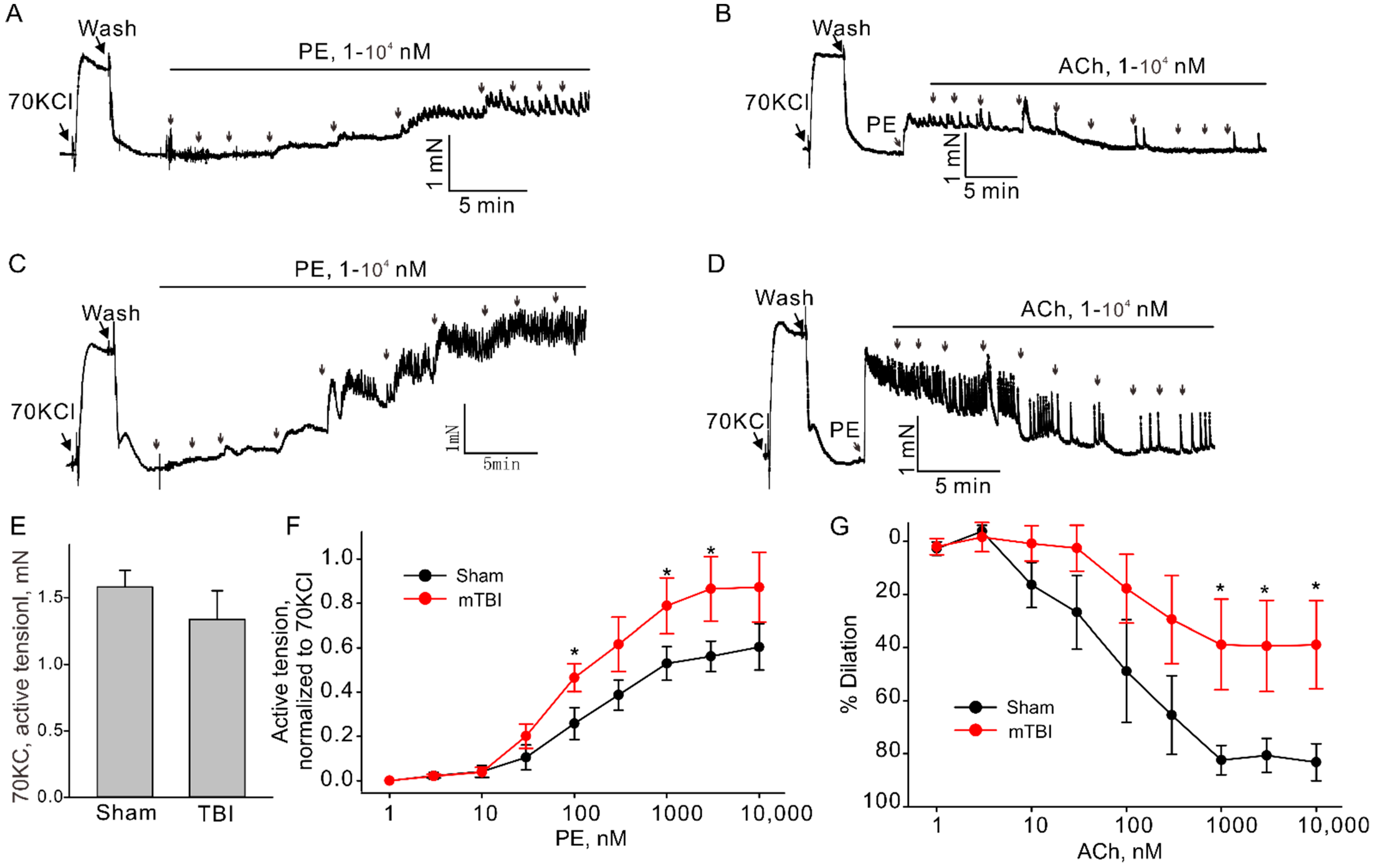 Brainsci 12 00232 g005