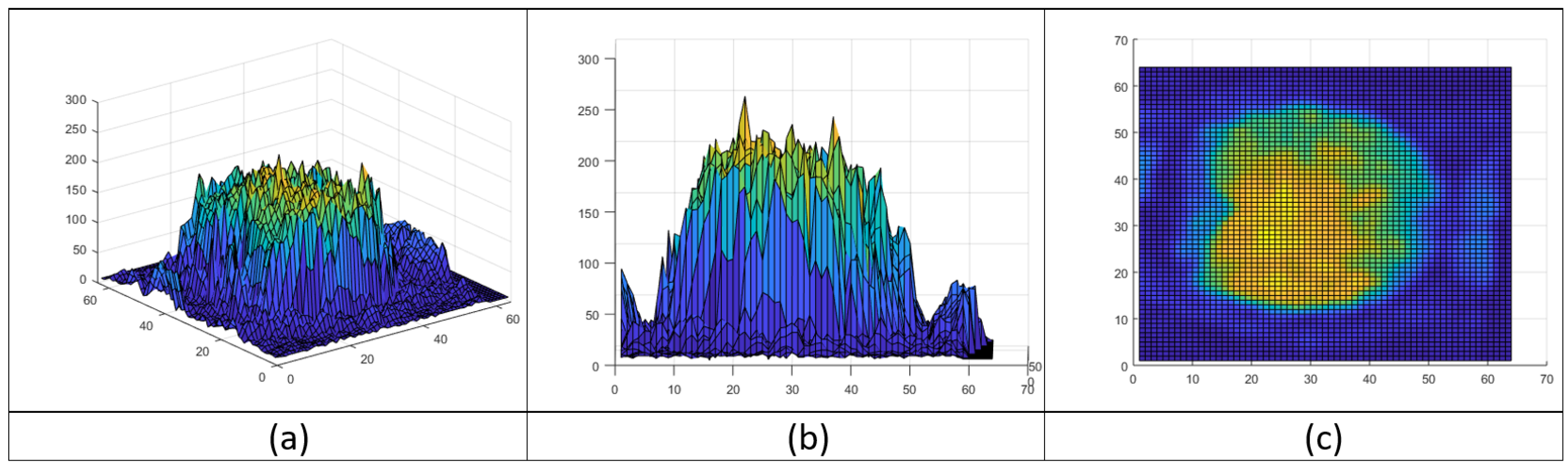 Brainsci 12 00235 g001