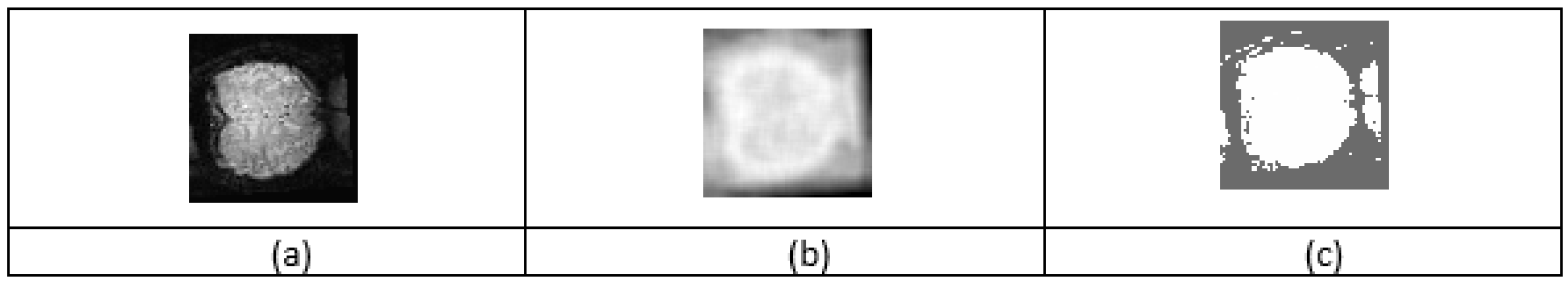 Brainsci 12 00235 g002