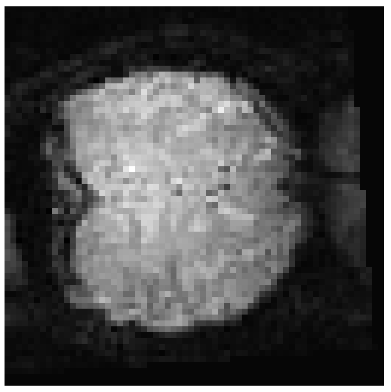 Brainsci 12 00235 g012