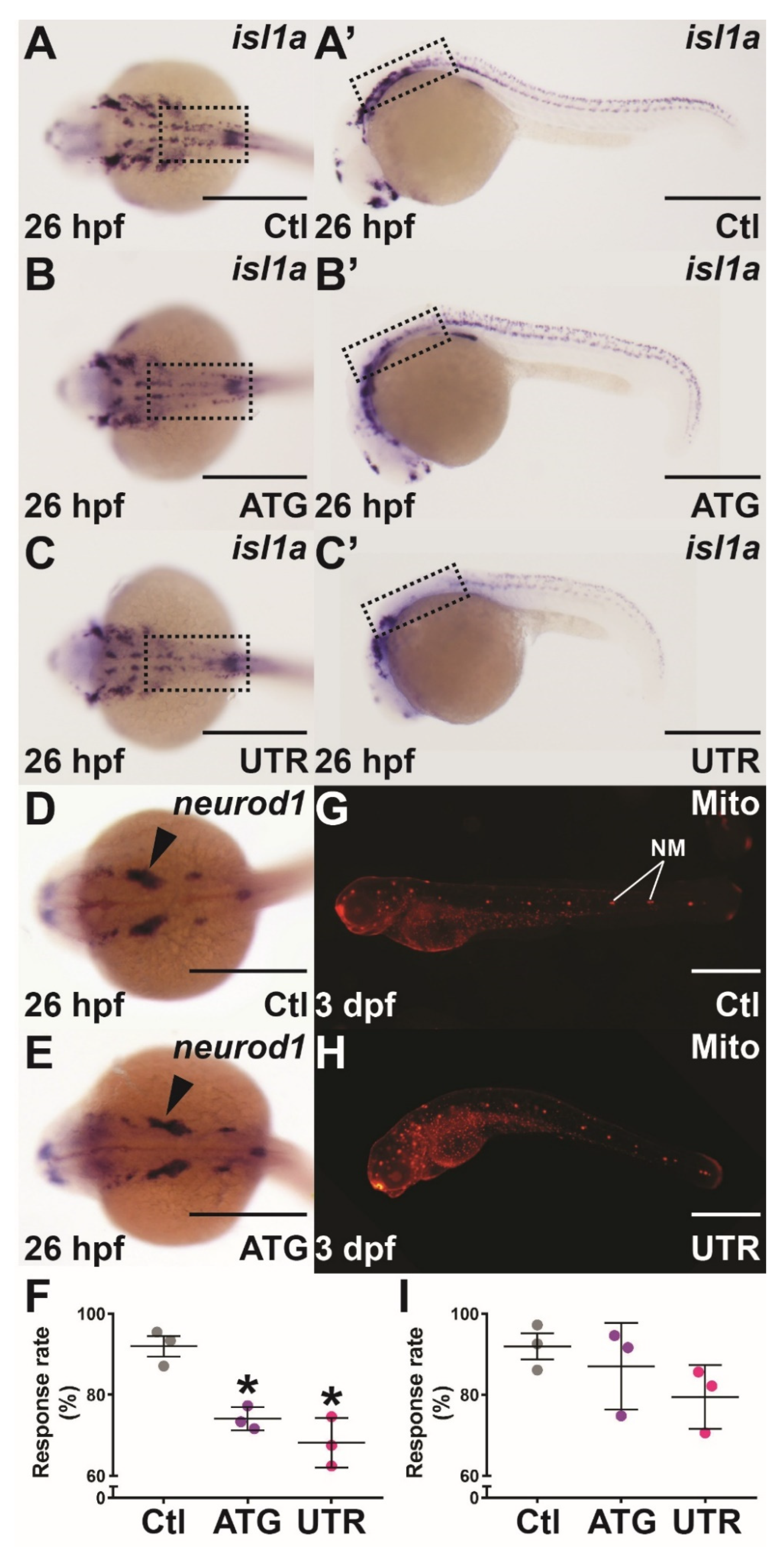 Brainsci 12 00241 g004