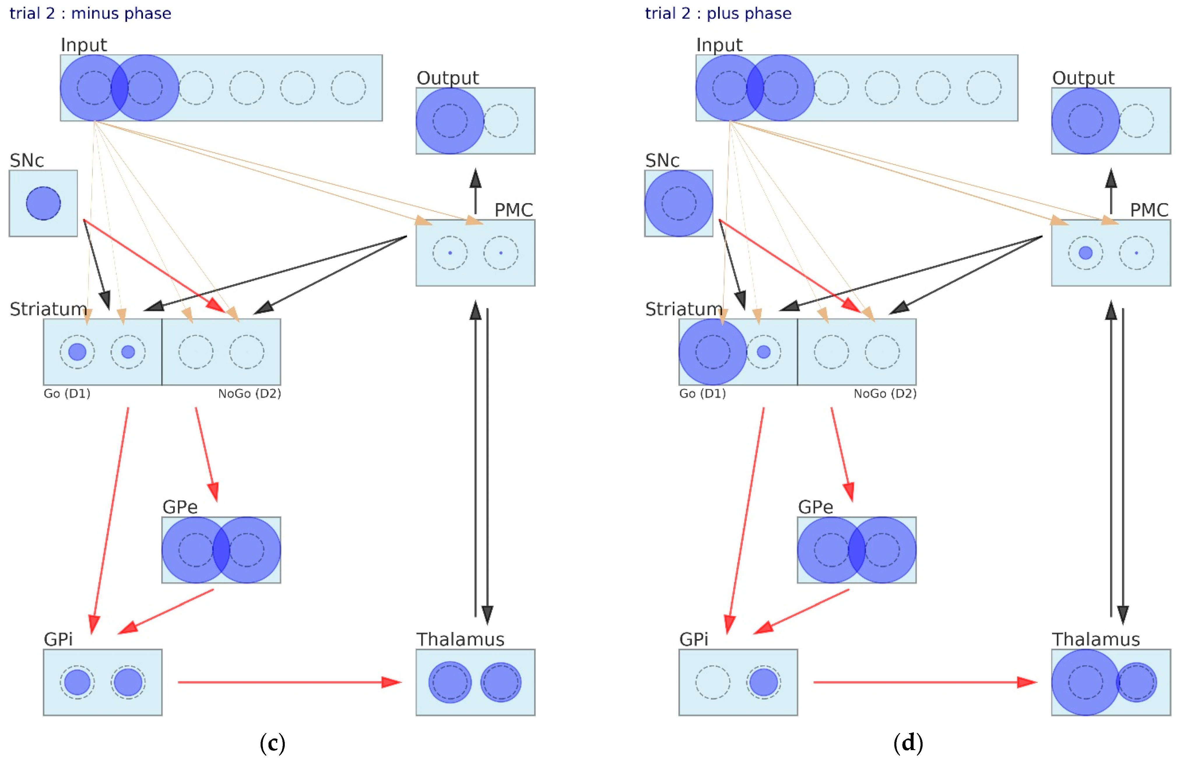 Brainsci 12 00262 g003b