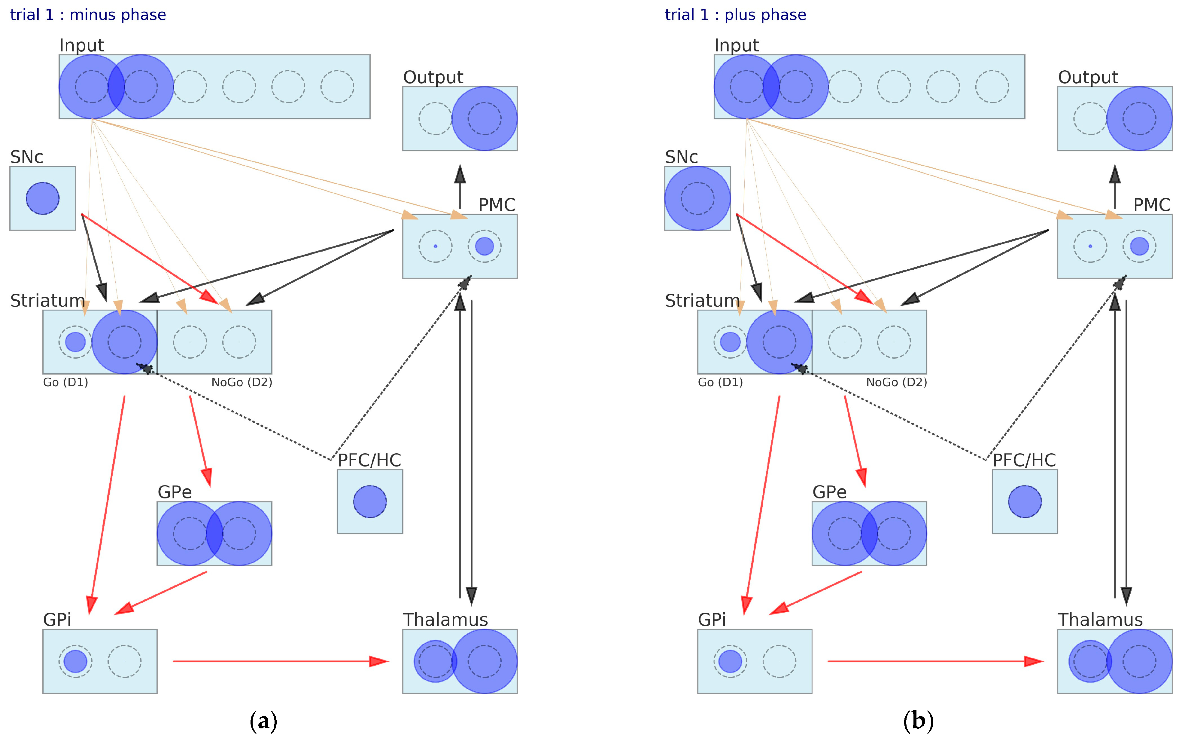 Brainsci 12 00262 g006a