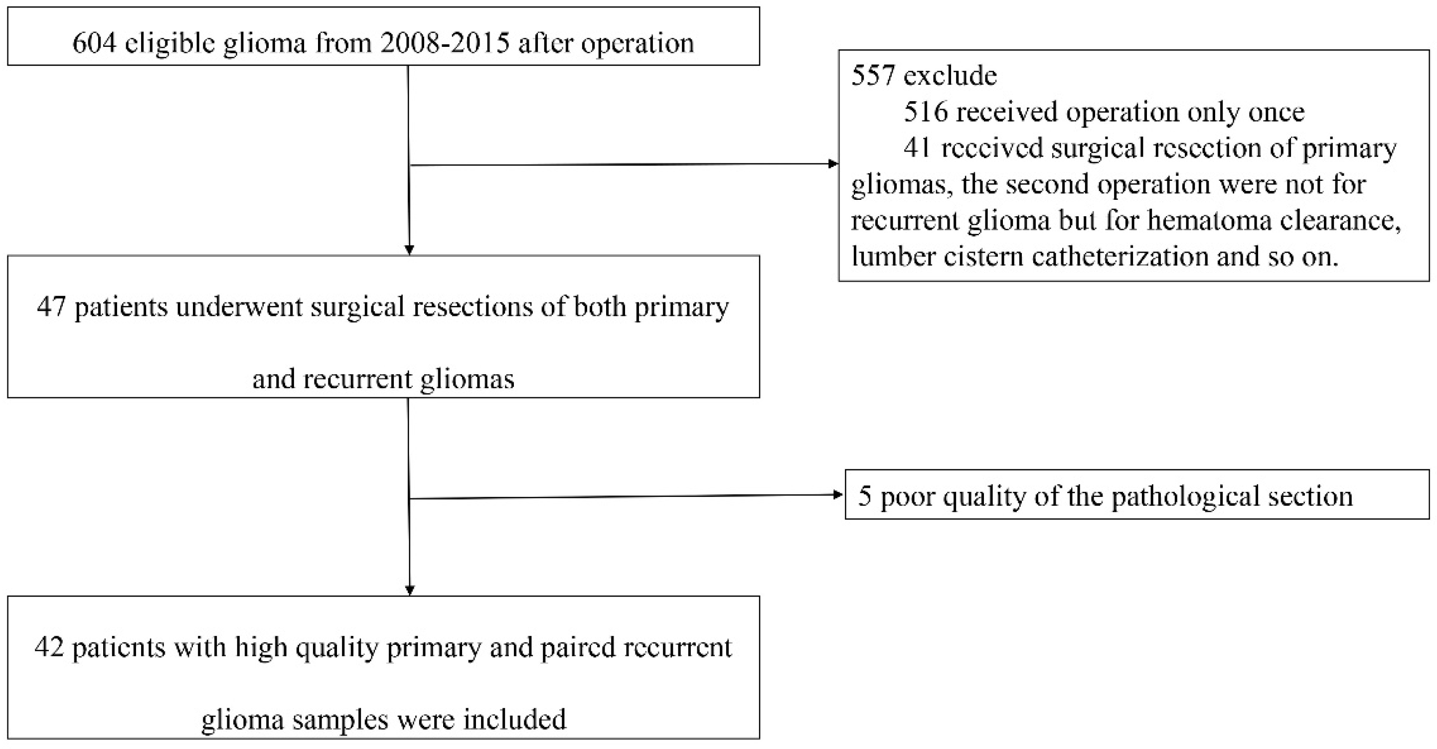 Brainsci 12 00266 g001