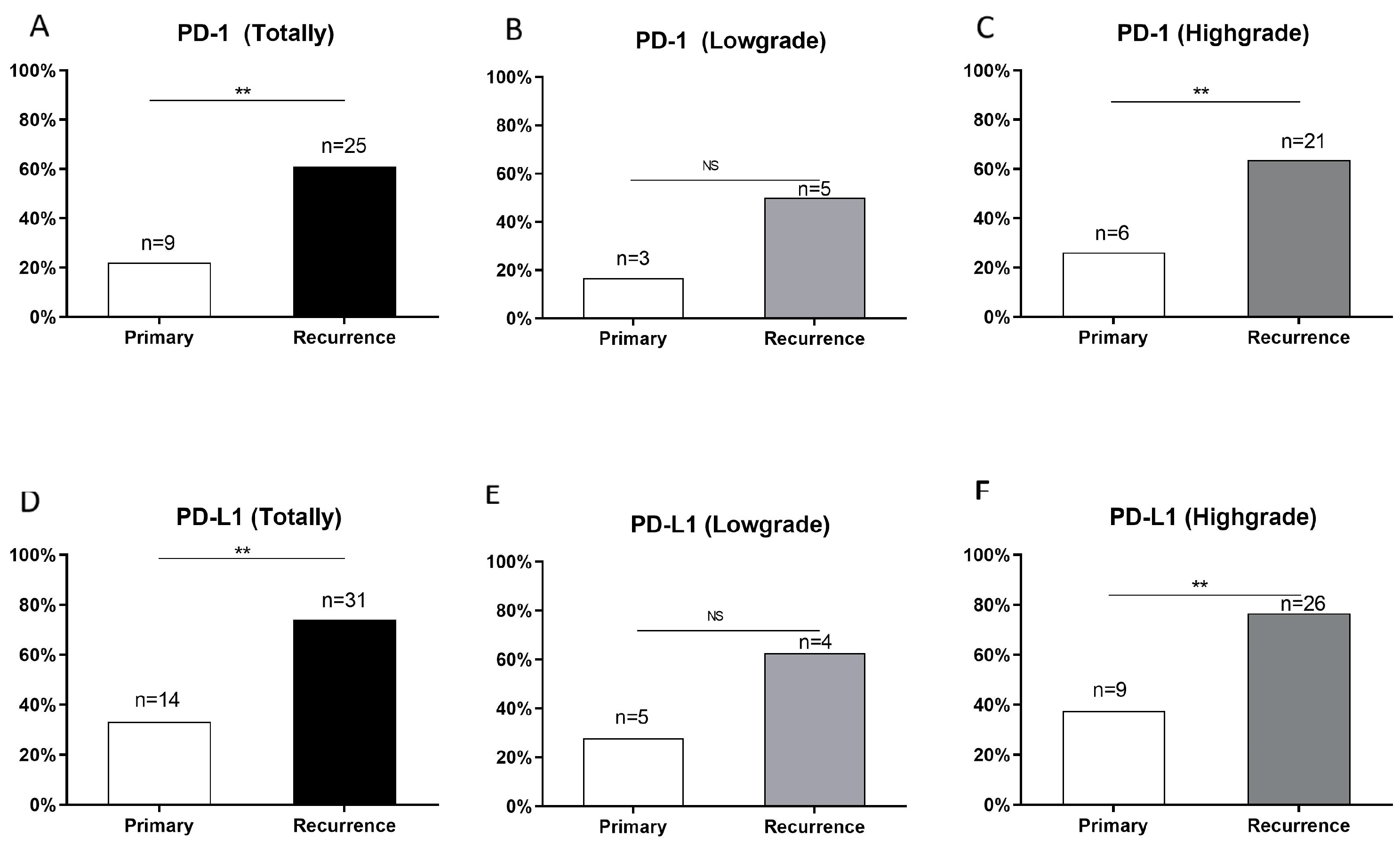 Brainsci 12 00266 g002