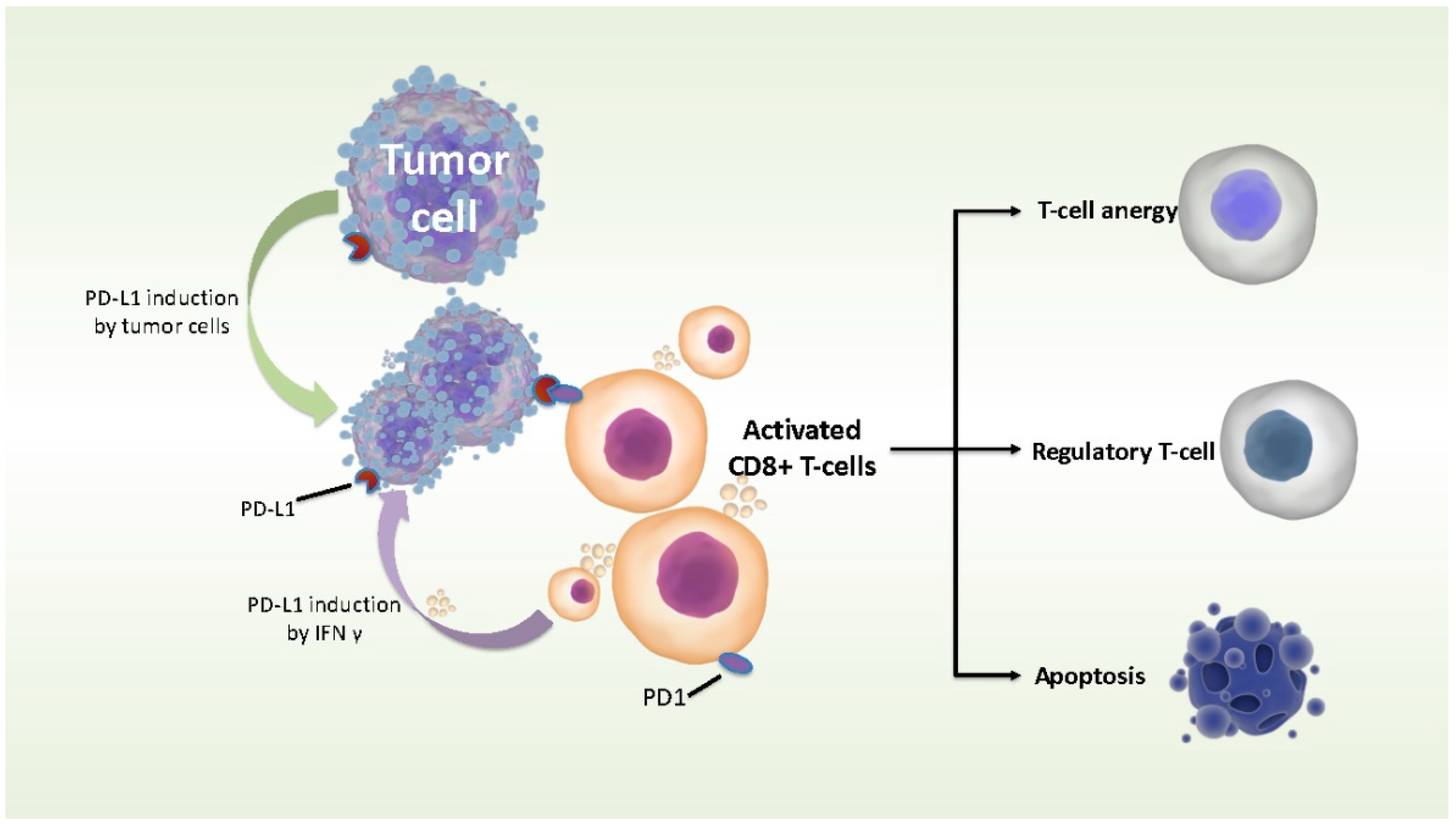 Brainsci 12 00266 g008