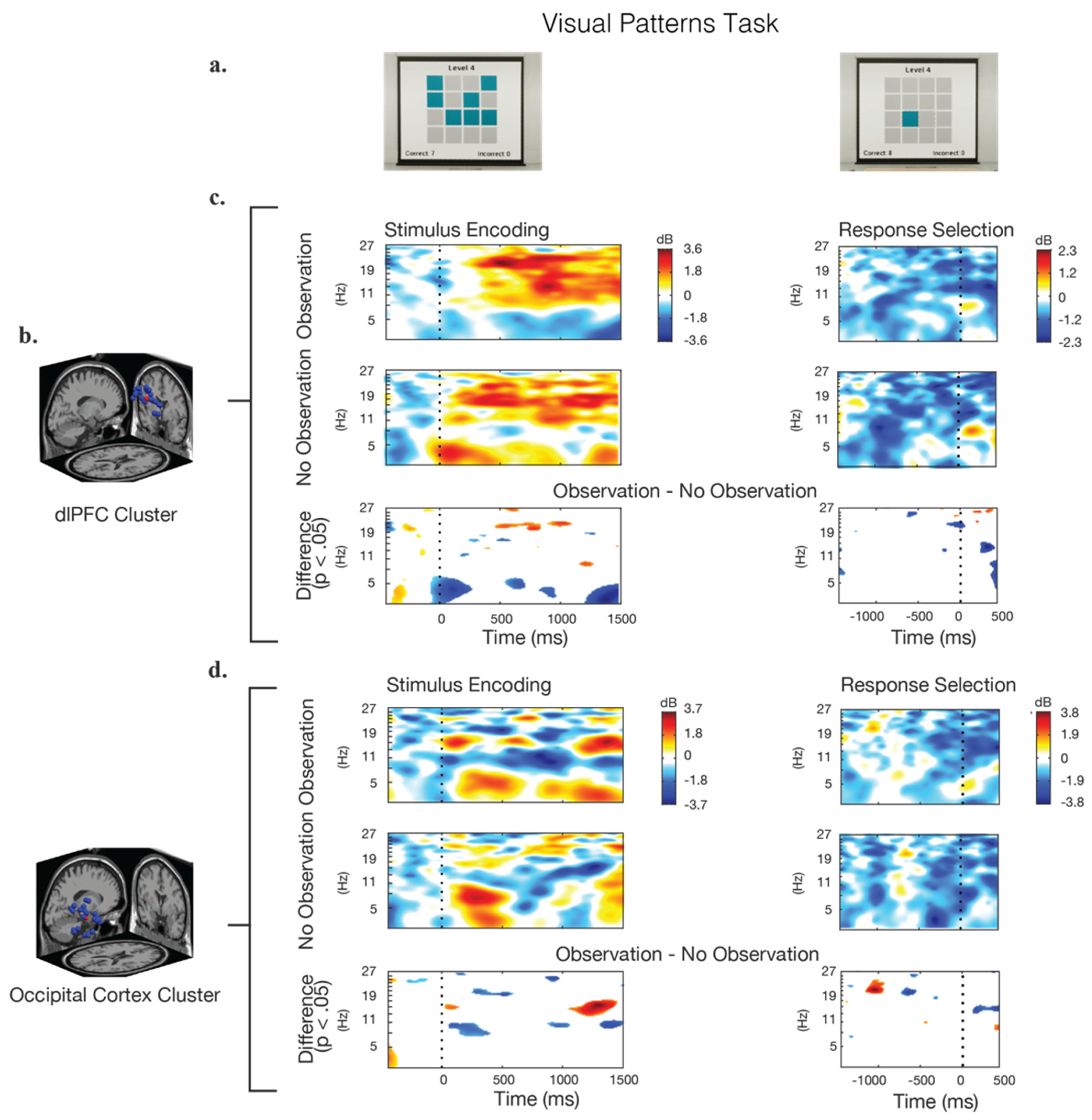 Brainsci 12 00269 g005