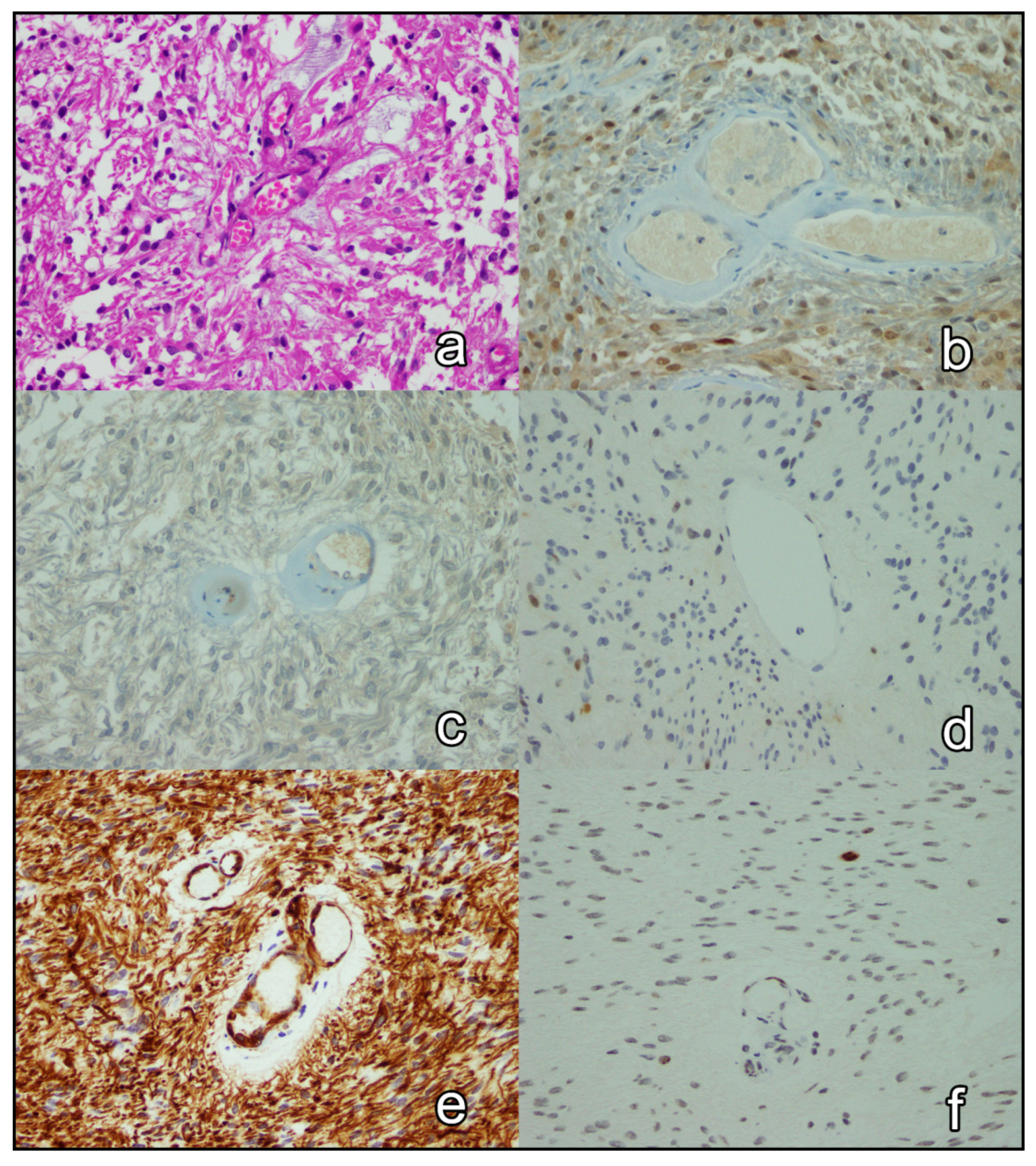 Brainsci 12 00282 g002