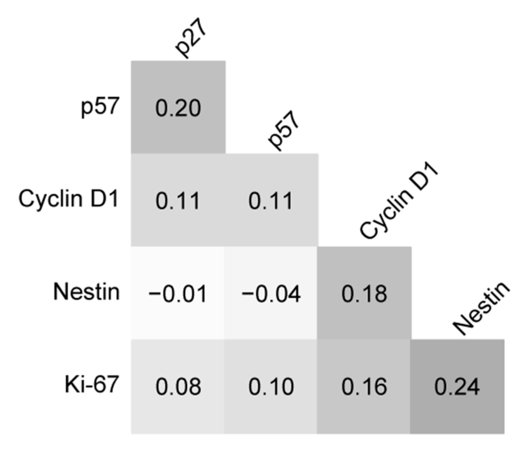 Brainsci 12 00282 g003