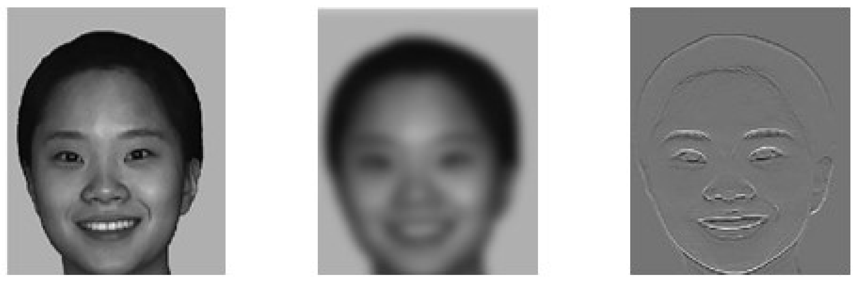 Brainsci 12 00283 g001