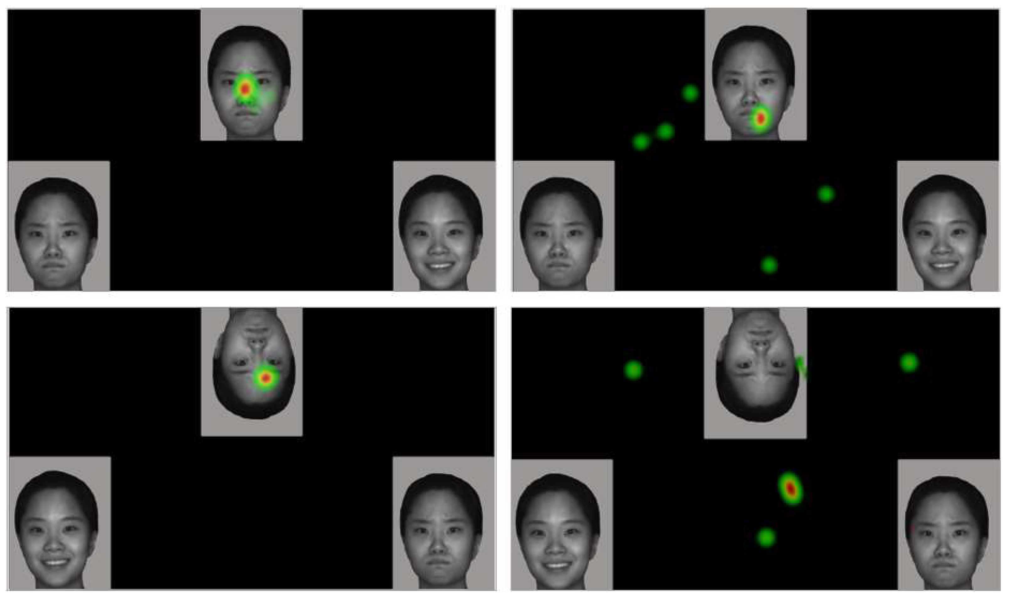 Brainsci 12 00283 g003