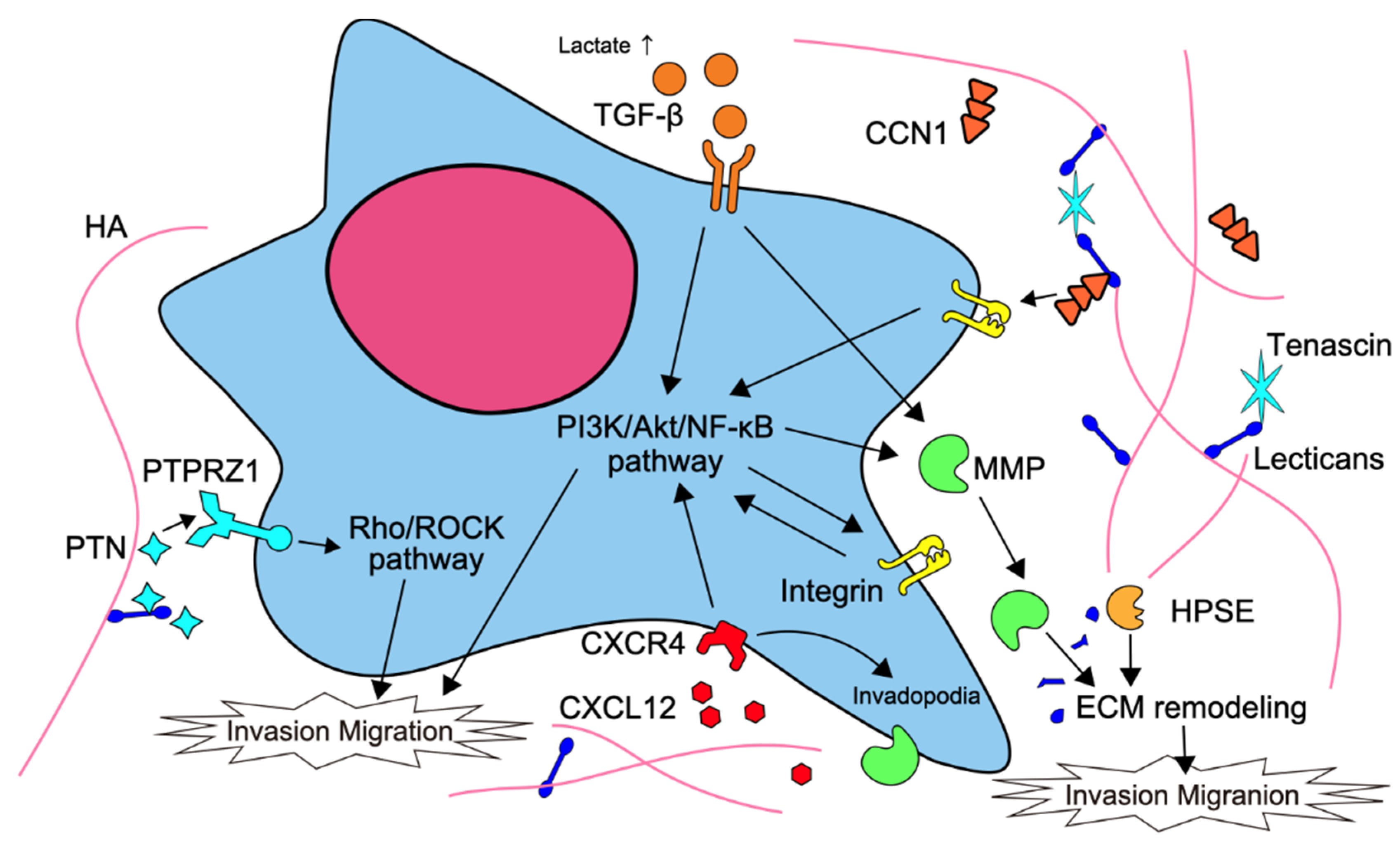 Brainsci 12 00291 g001 Brainsci 12 00291 g001