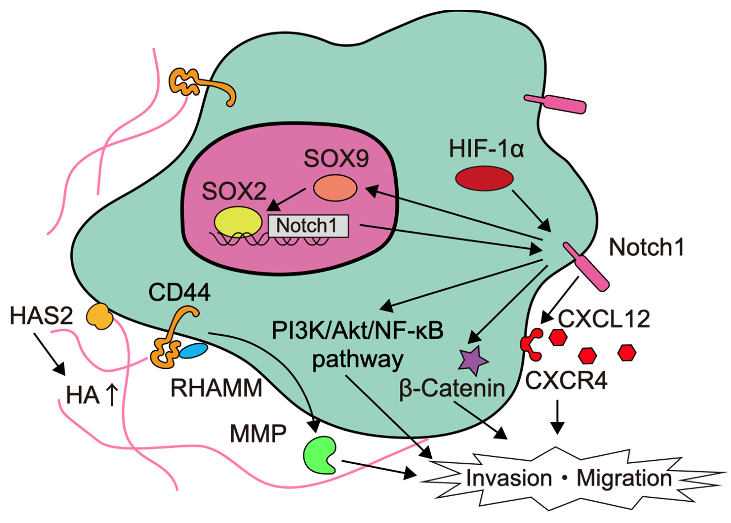 Brainsci 12 00291 g002 Brainsci 12 00291 g002