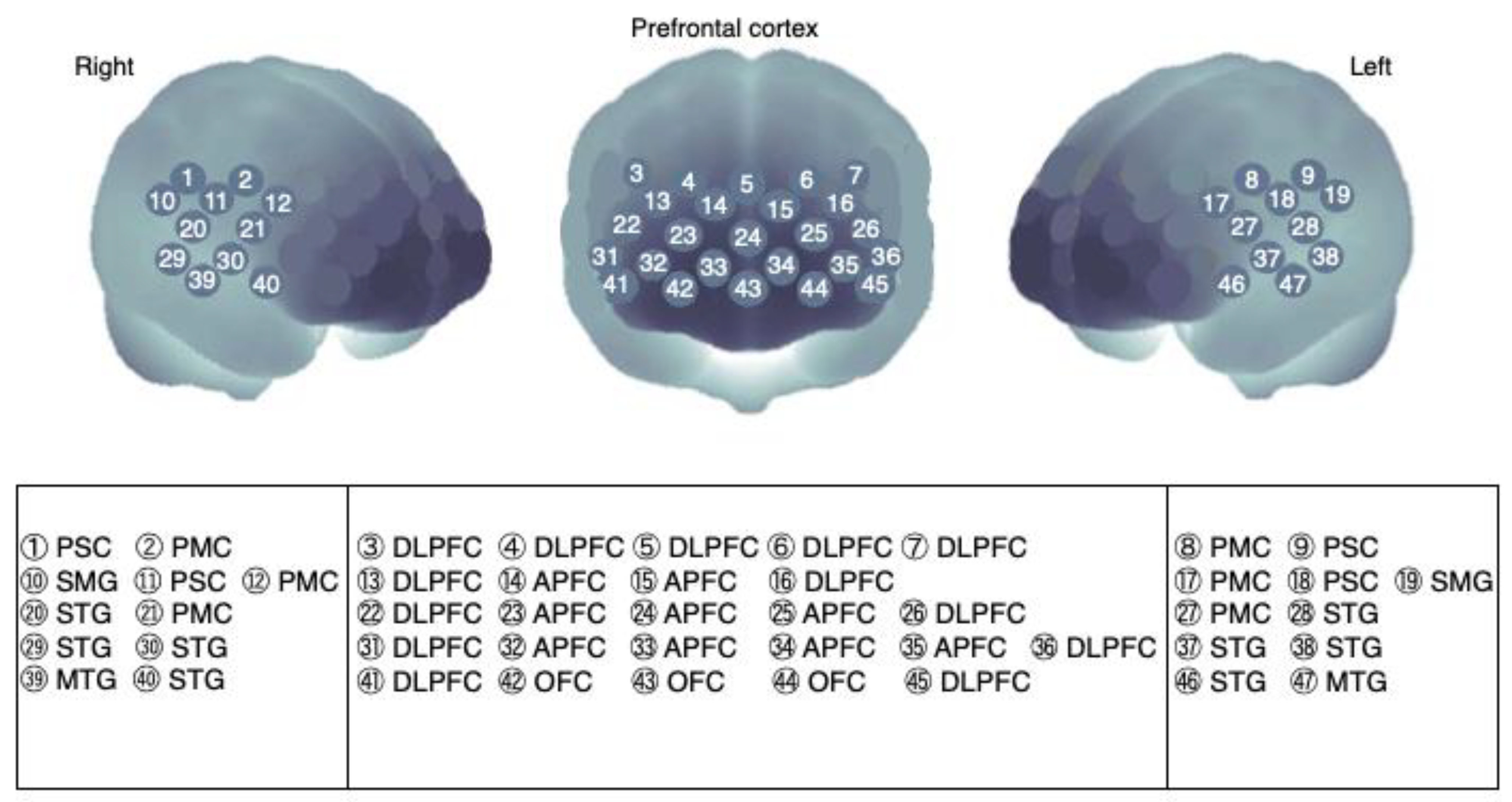 Brainsci 12 00296 g002