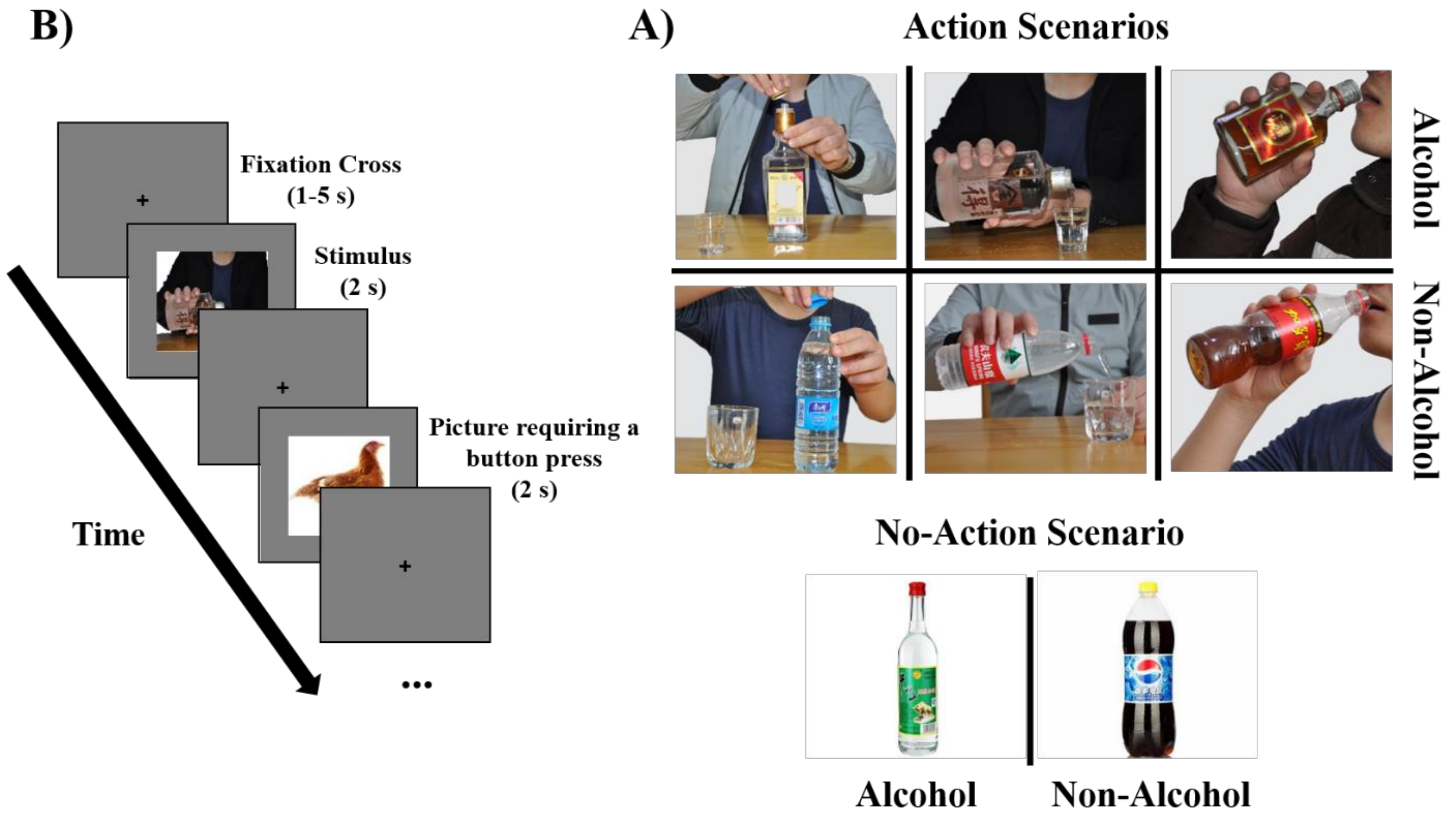 Brainsci 12 00307 g001