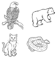 Brainsci 12 00312 i001 Brainsci 12 00312 i001