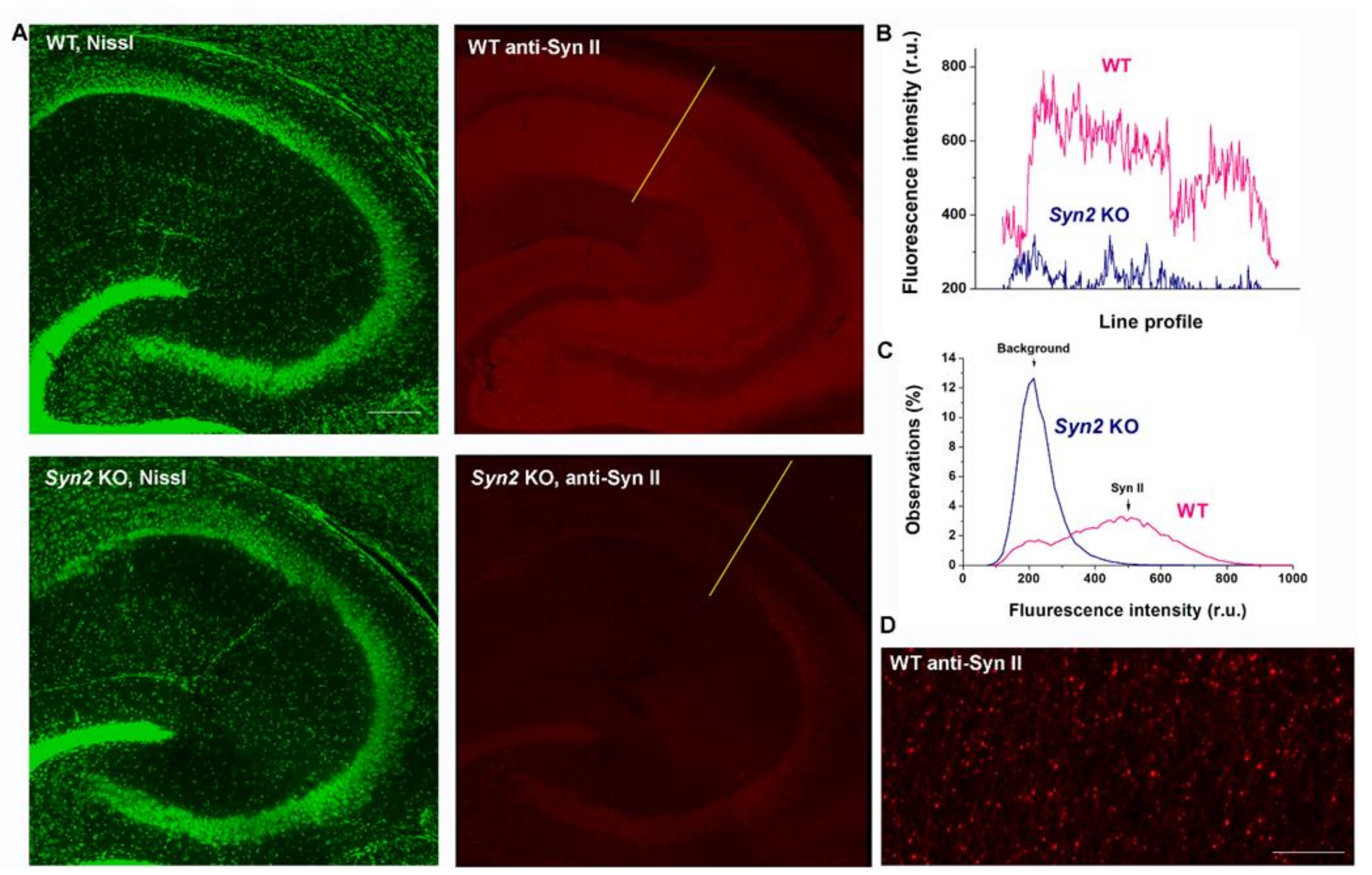 Brainsci 12 00325 g001