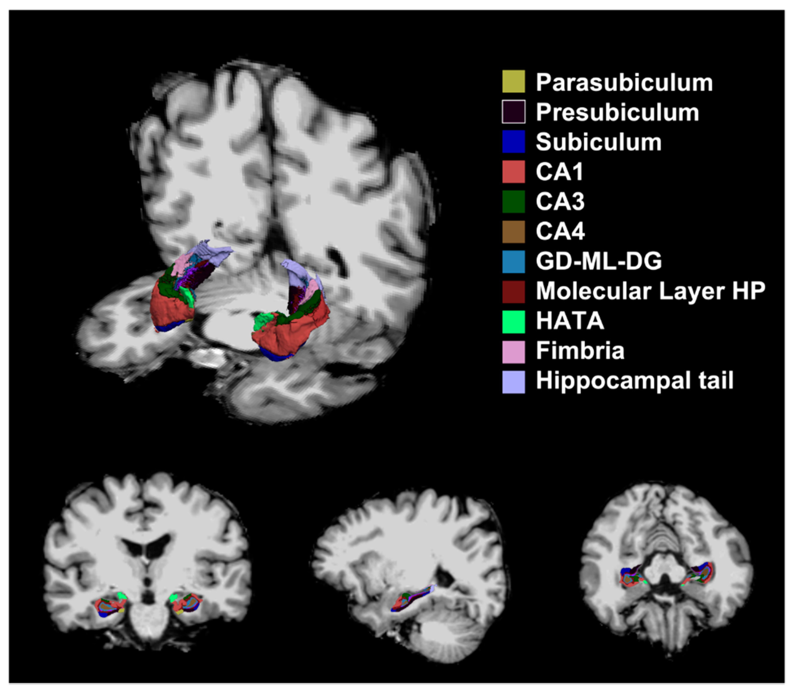 Brainsci 12 00329 g001 Brainsci 12 00329 g001