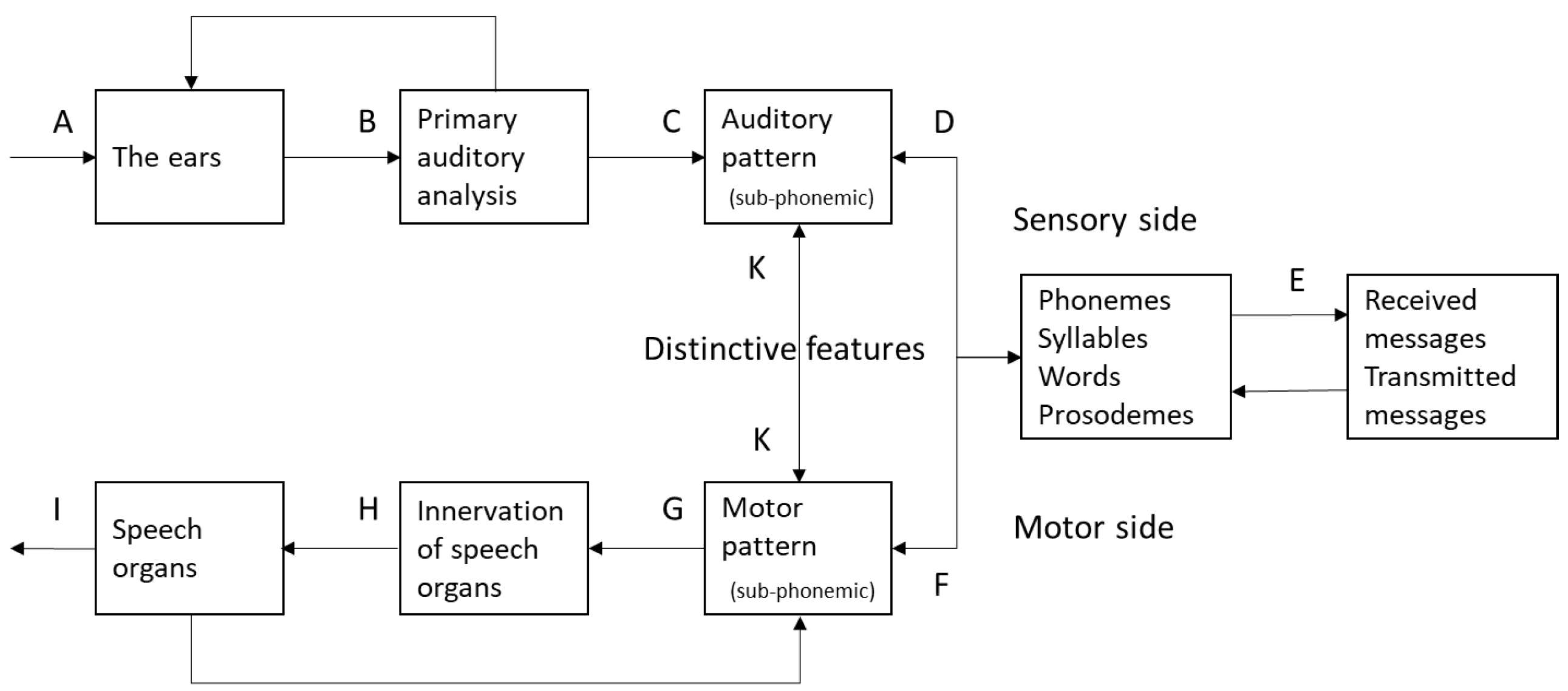 Brainsci 12 00337 g001