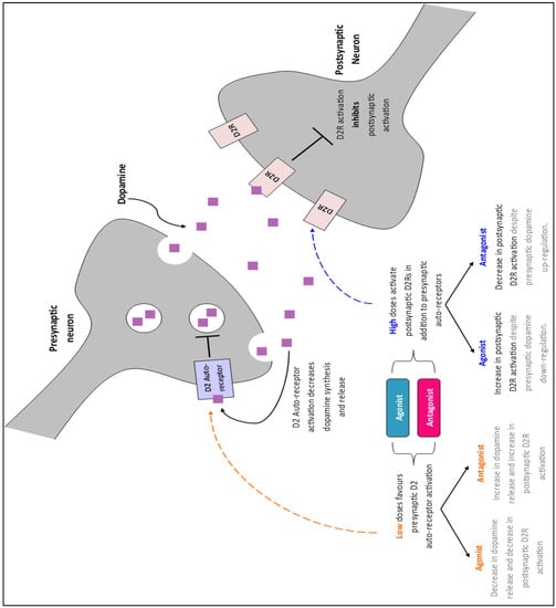Brainsci 12 00351 g0a1