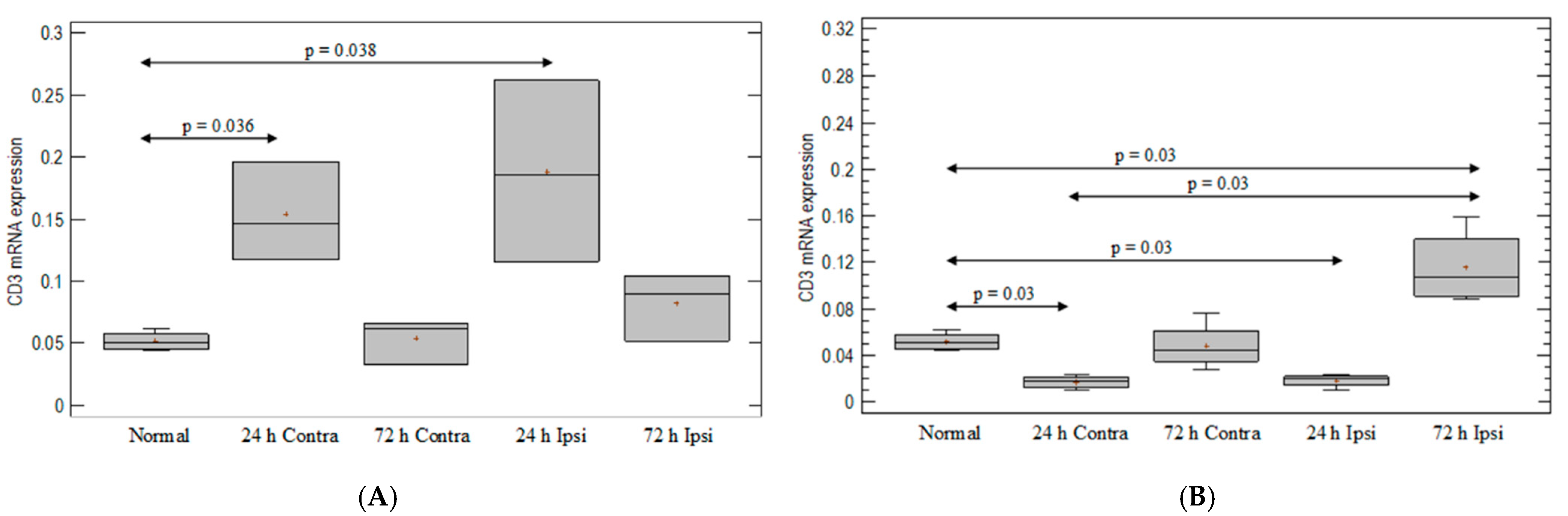 Brainsci 12 00380 g001