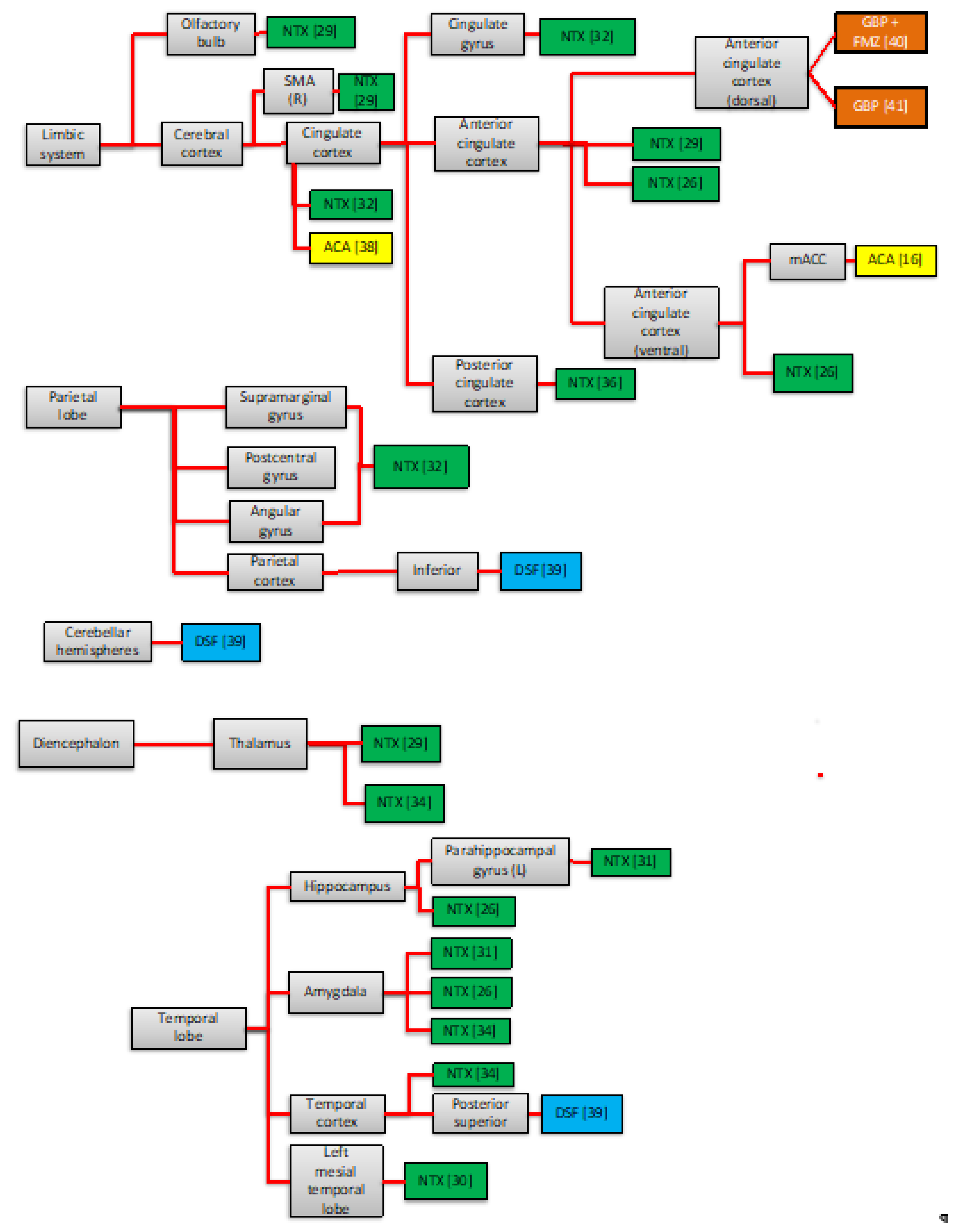 Brainsci 12 00386 g002a