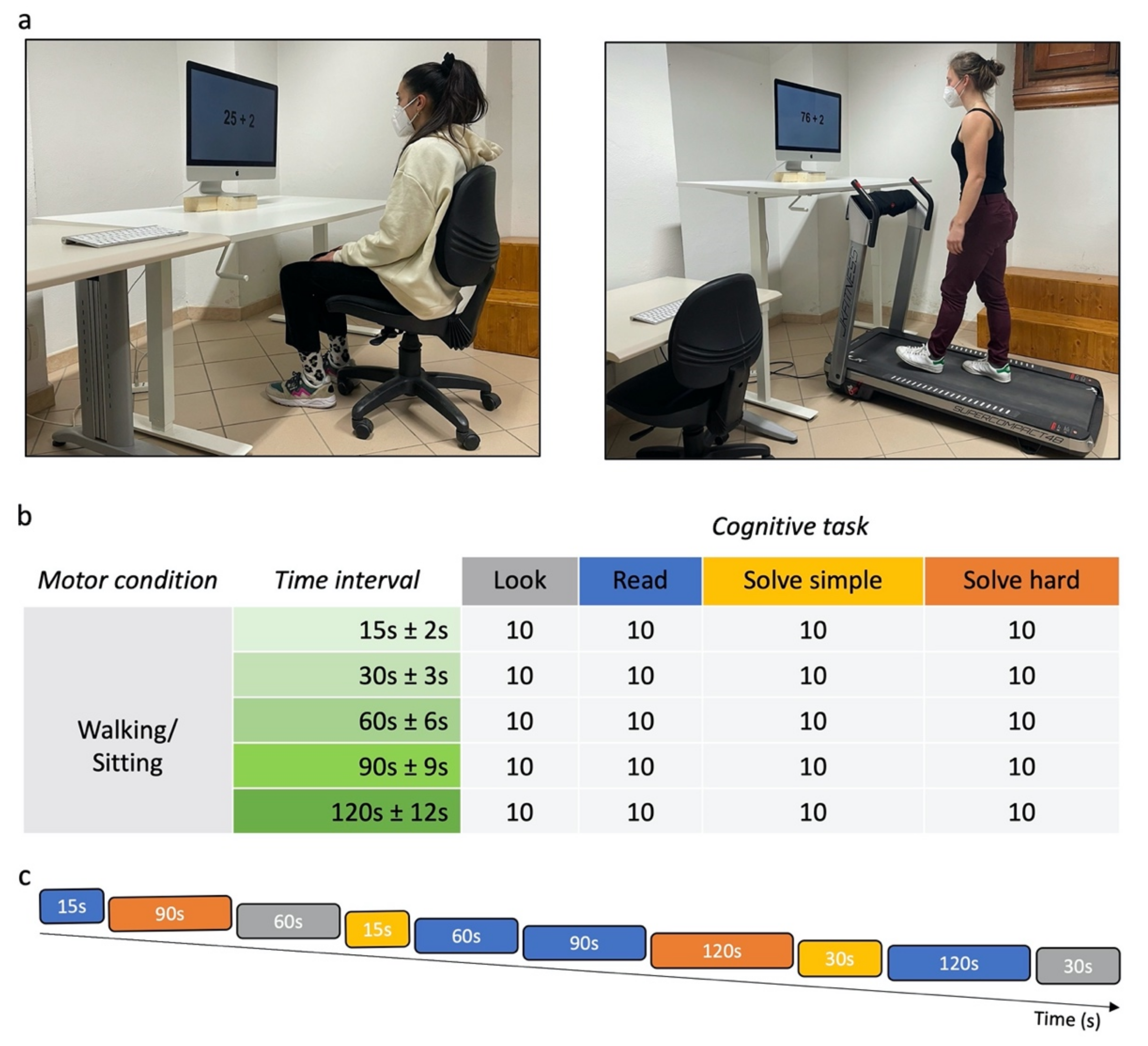 Brainsci 12 00404 g001