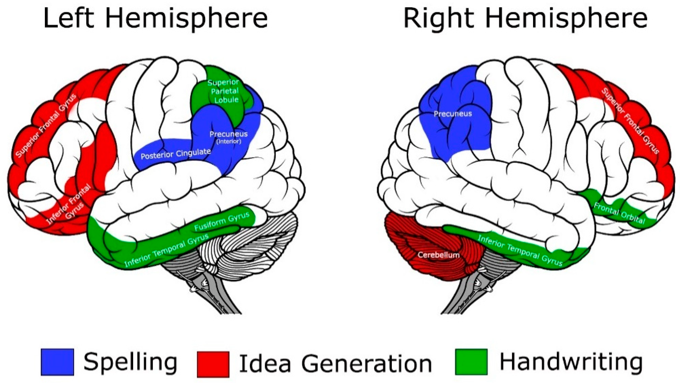 Brainsci 12 00406 g002 Brainsci 12 00406 g002
