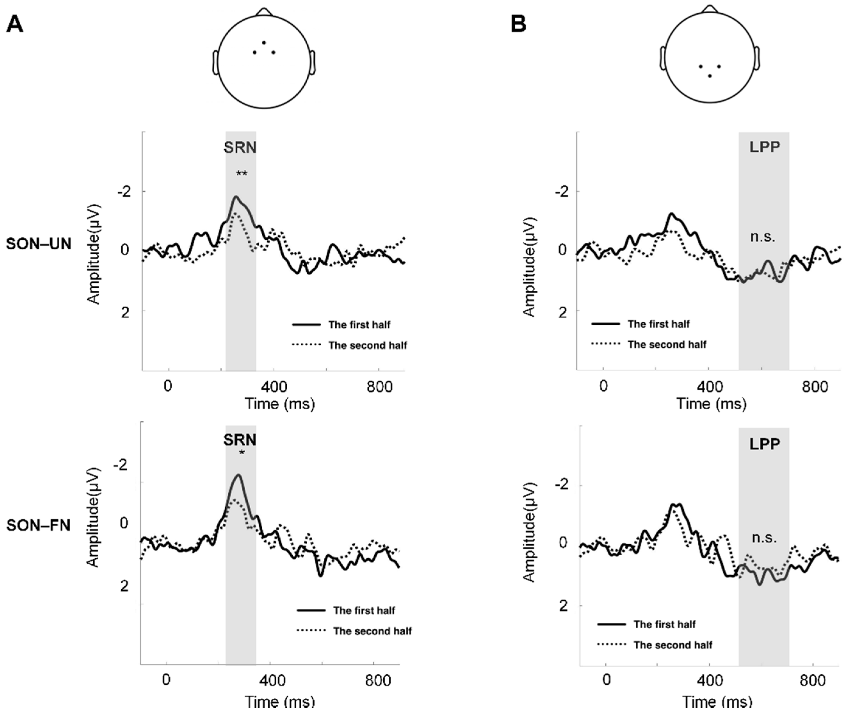 Brainsci 12 00411 g003 Brainsci 12 00411 g003
