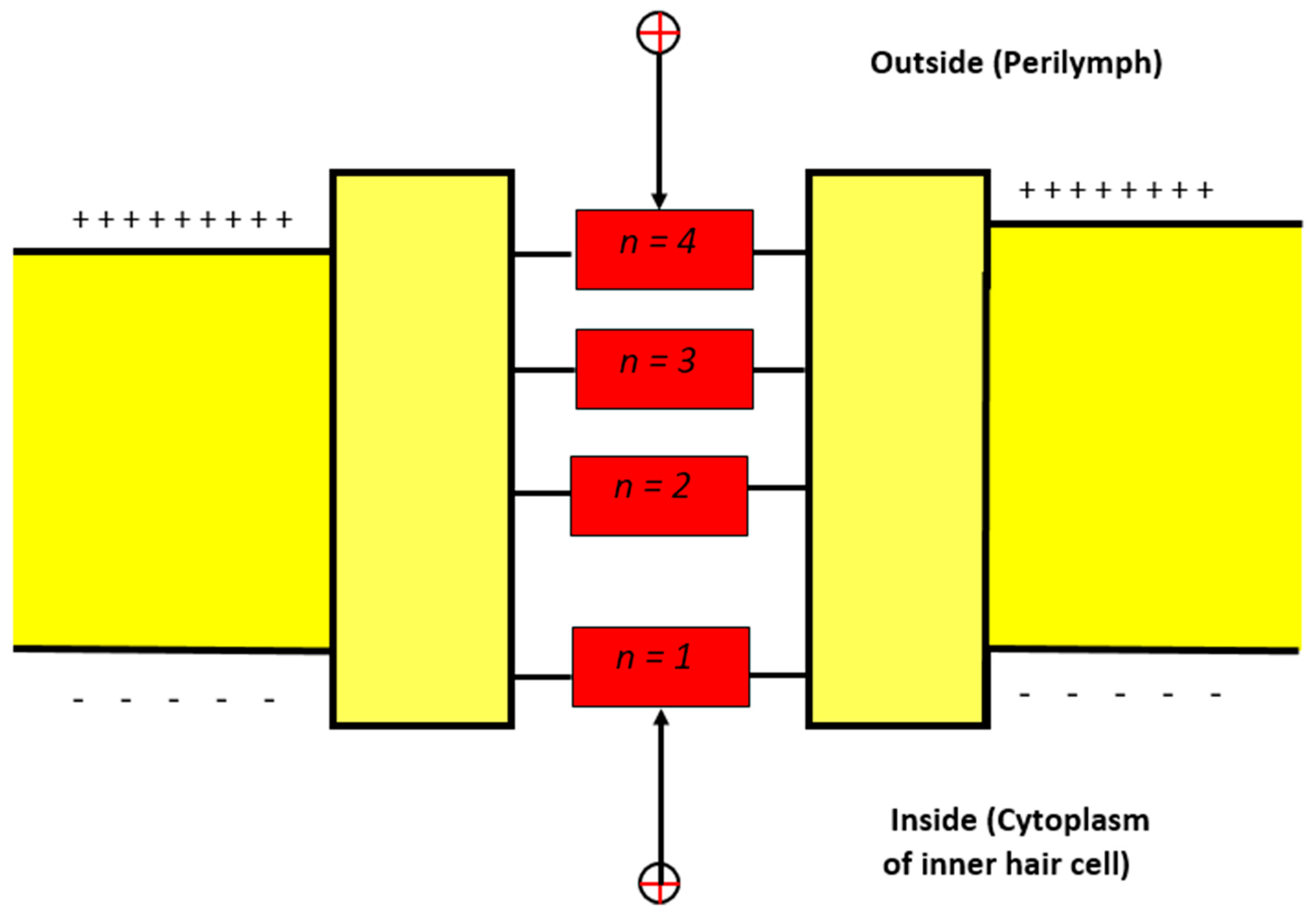 Brainsci 12 00426 g002