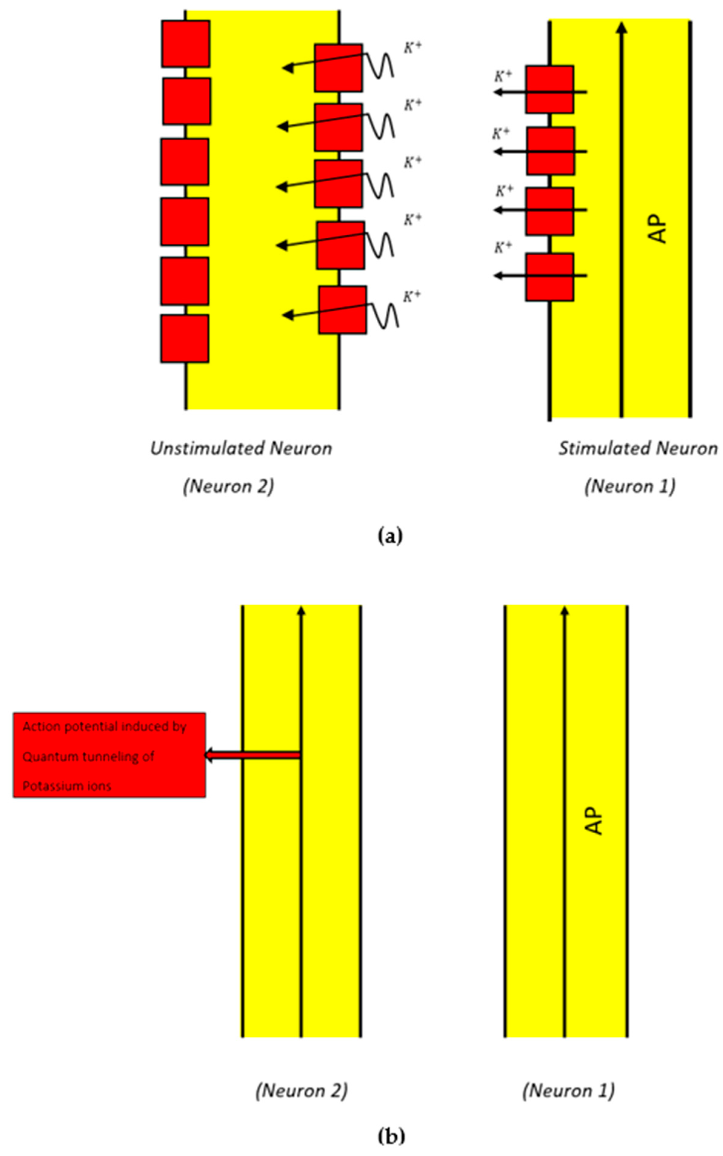 Brainsci 12 00426 g004