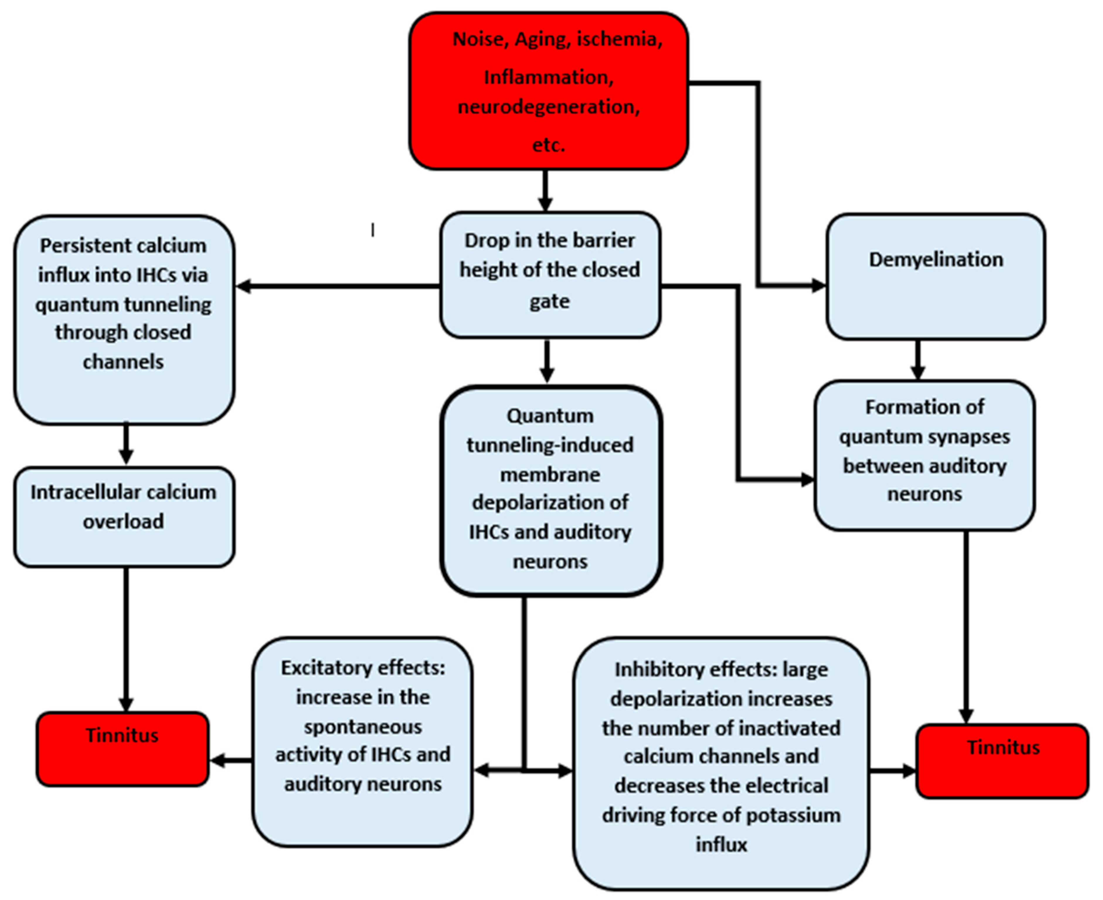 Brainsci 12 00426 g013