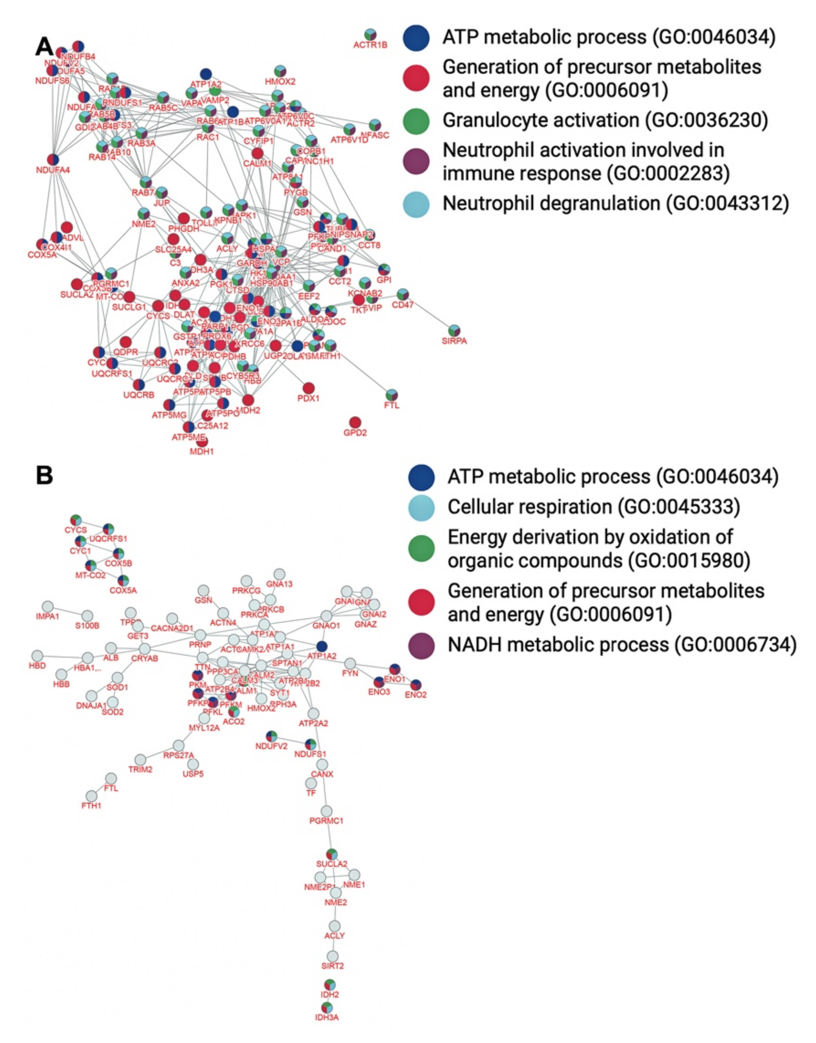Brainsci 12 00434 g002