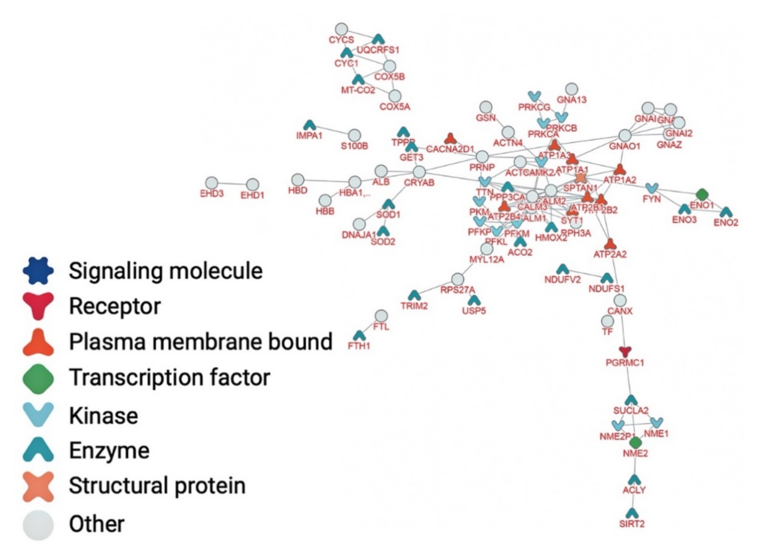 Brainsci 12 00434 g005