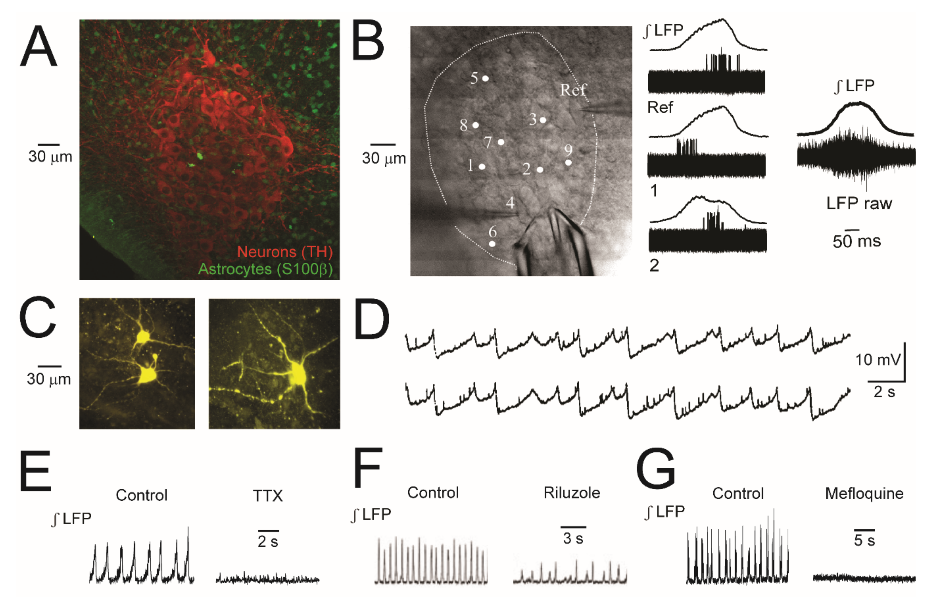 Brainsci 12 00437 g003