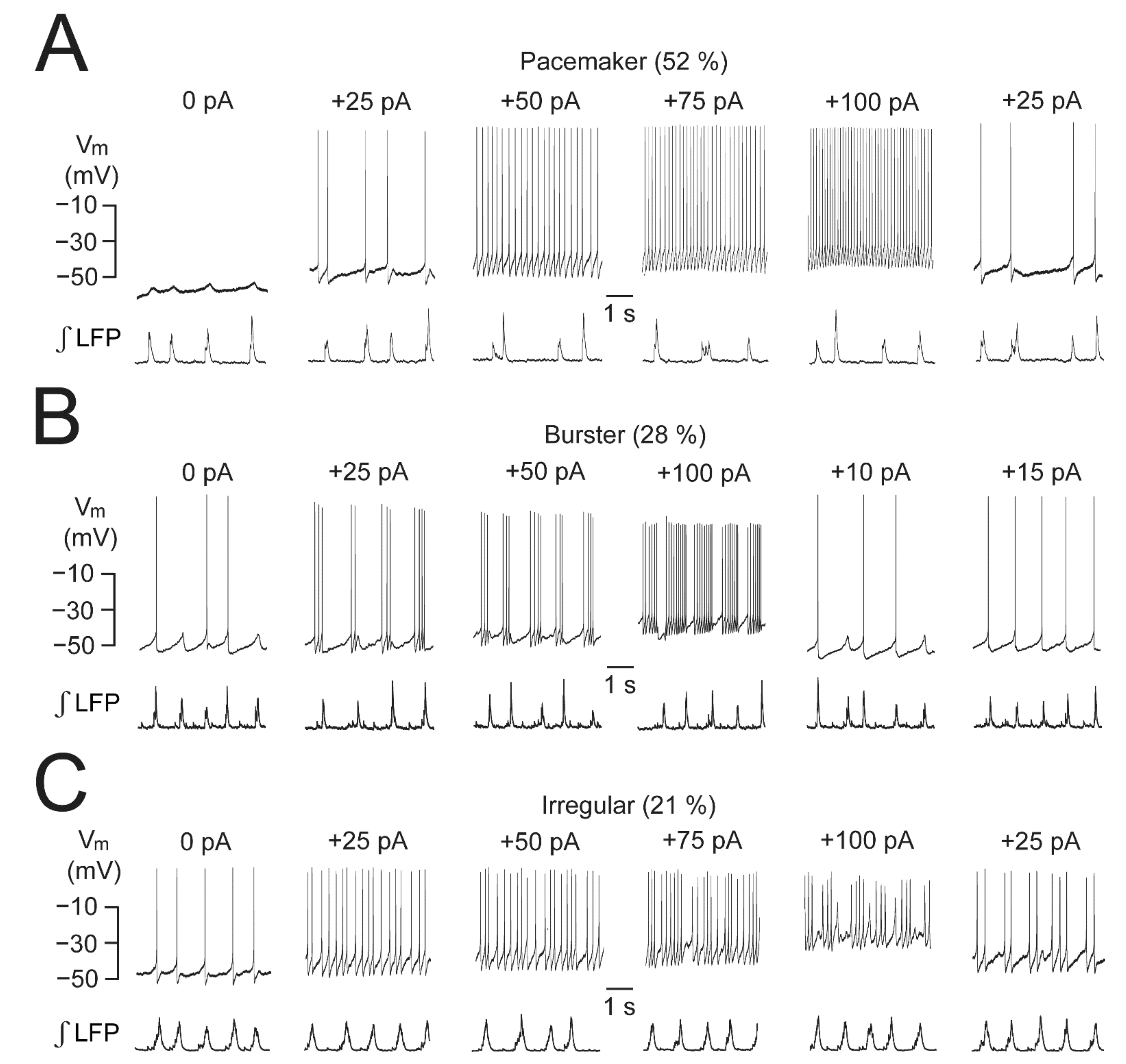 Brainsci 12 00437 g004