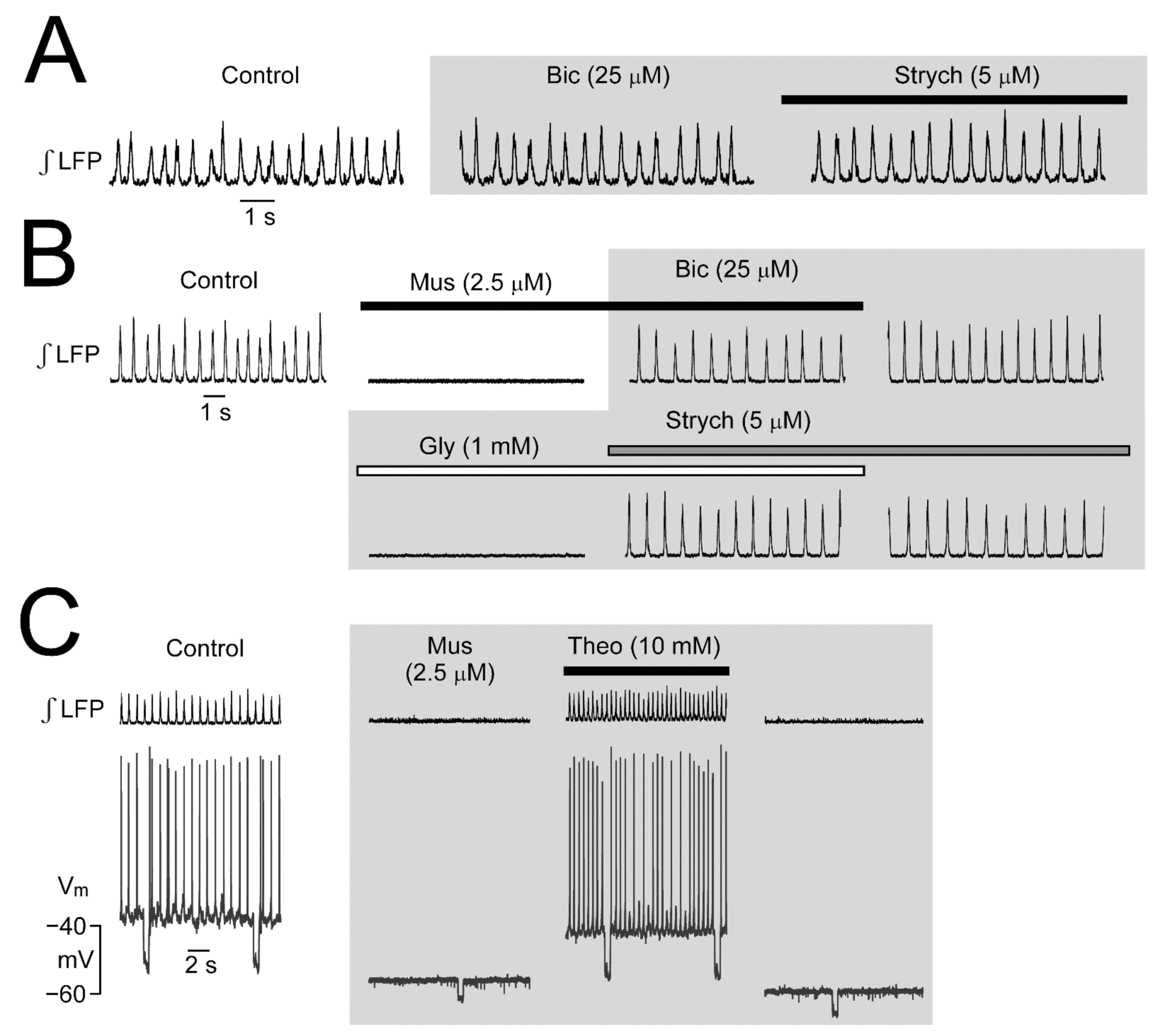 Brainsci 12 00437 g006