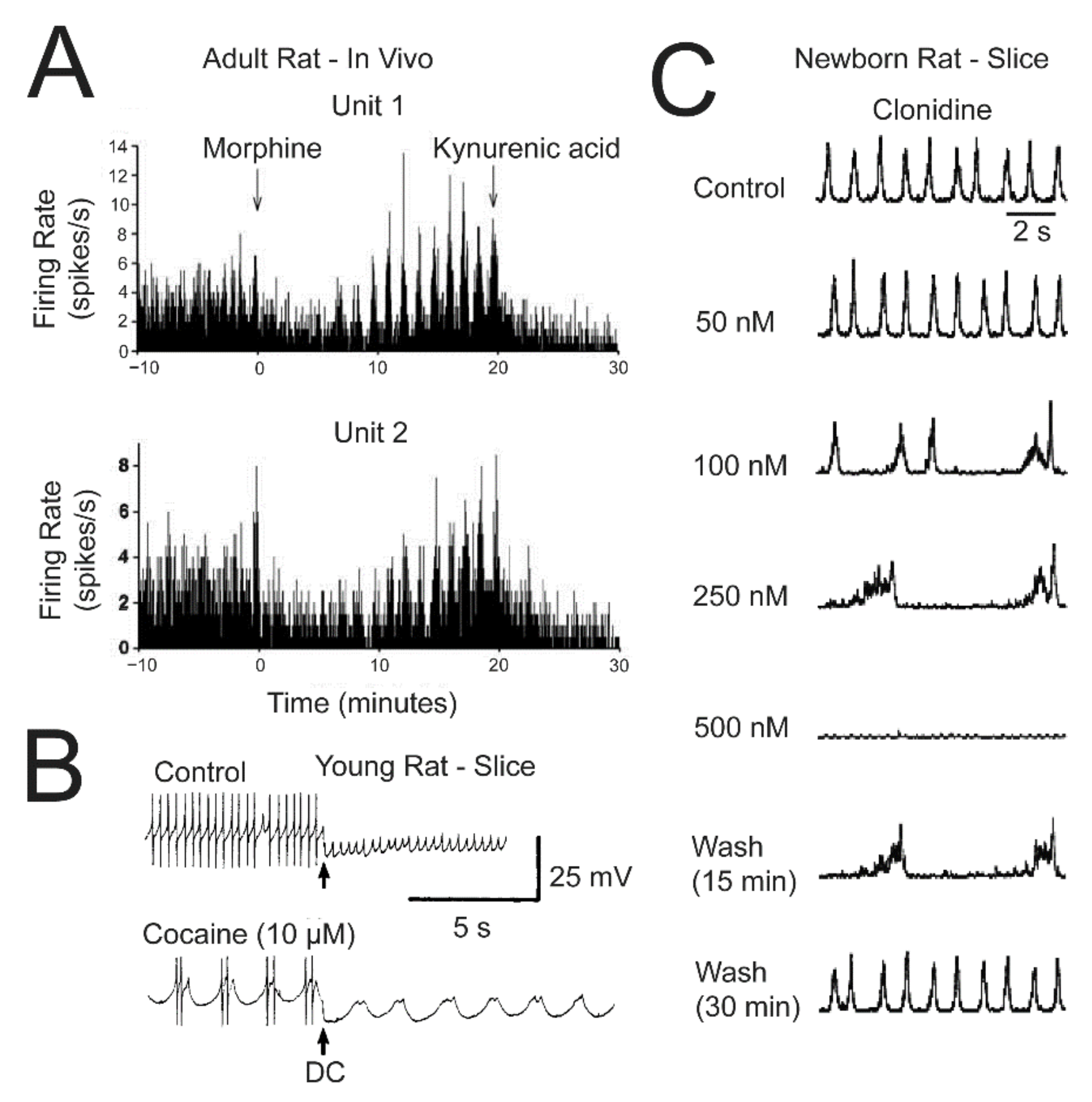 Brainsci 12 00437 g008