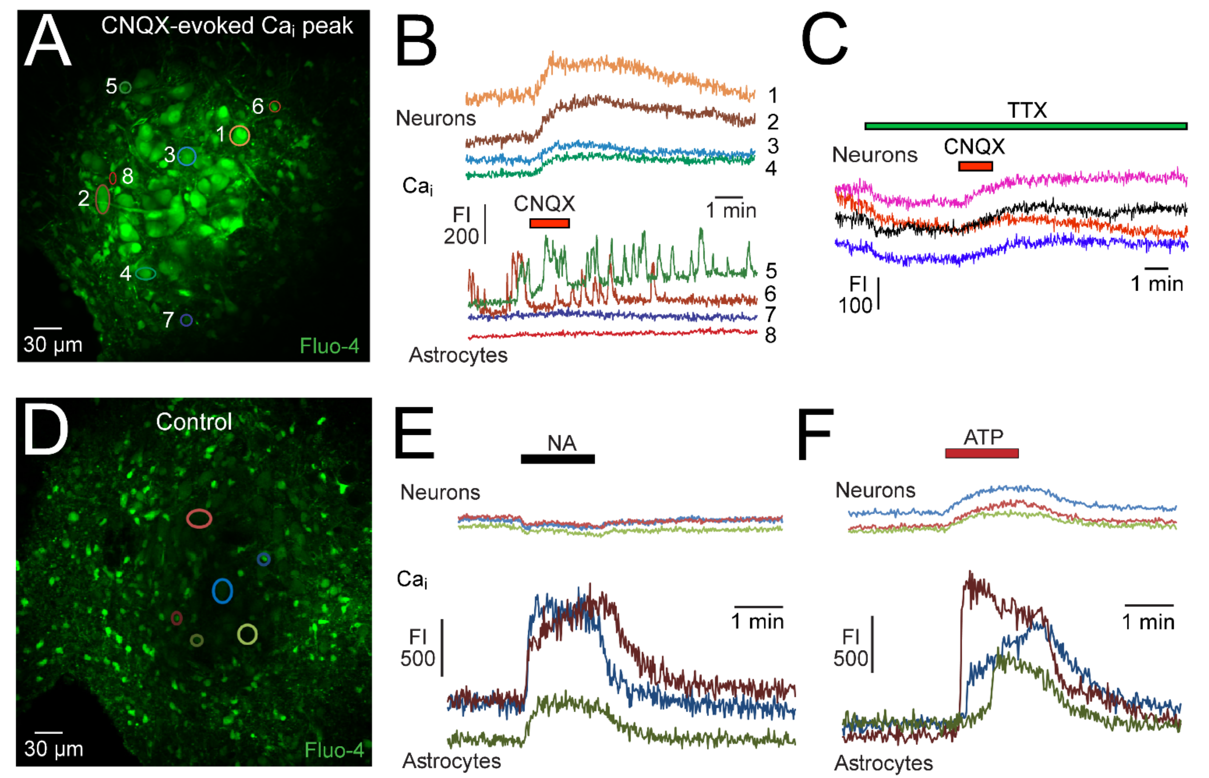 Brainsci 12 00437 g009