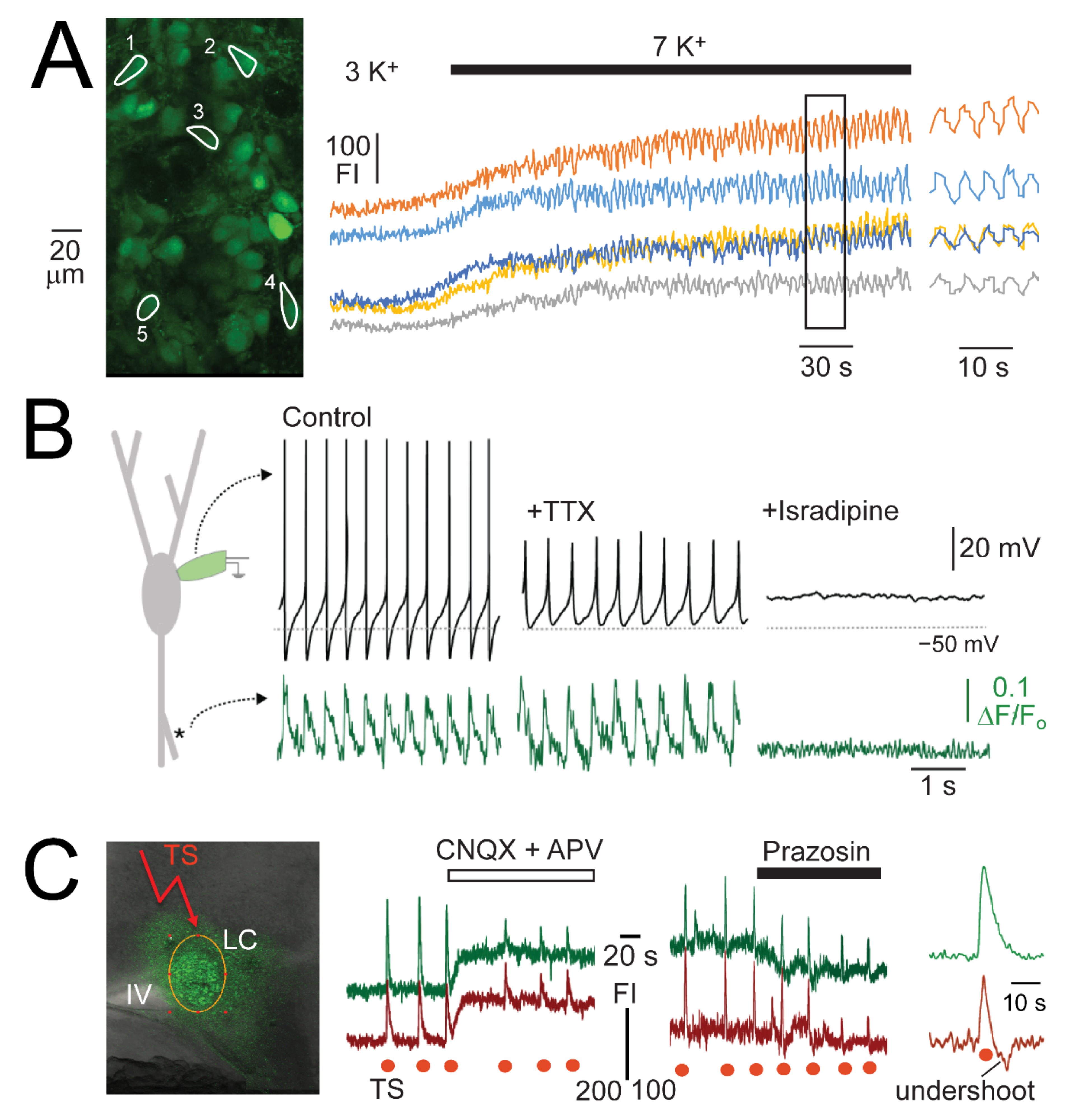 Brainsci 12 00437 g010