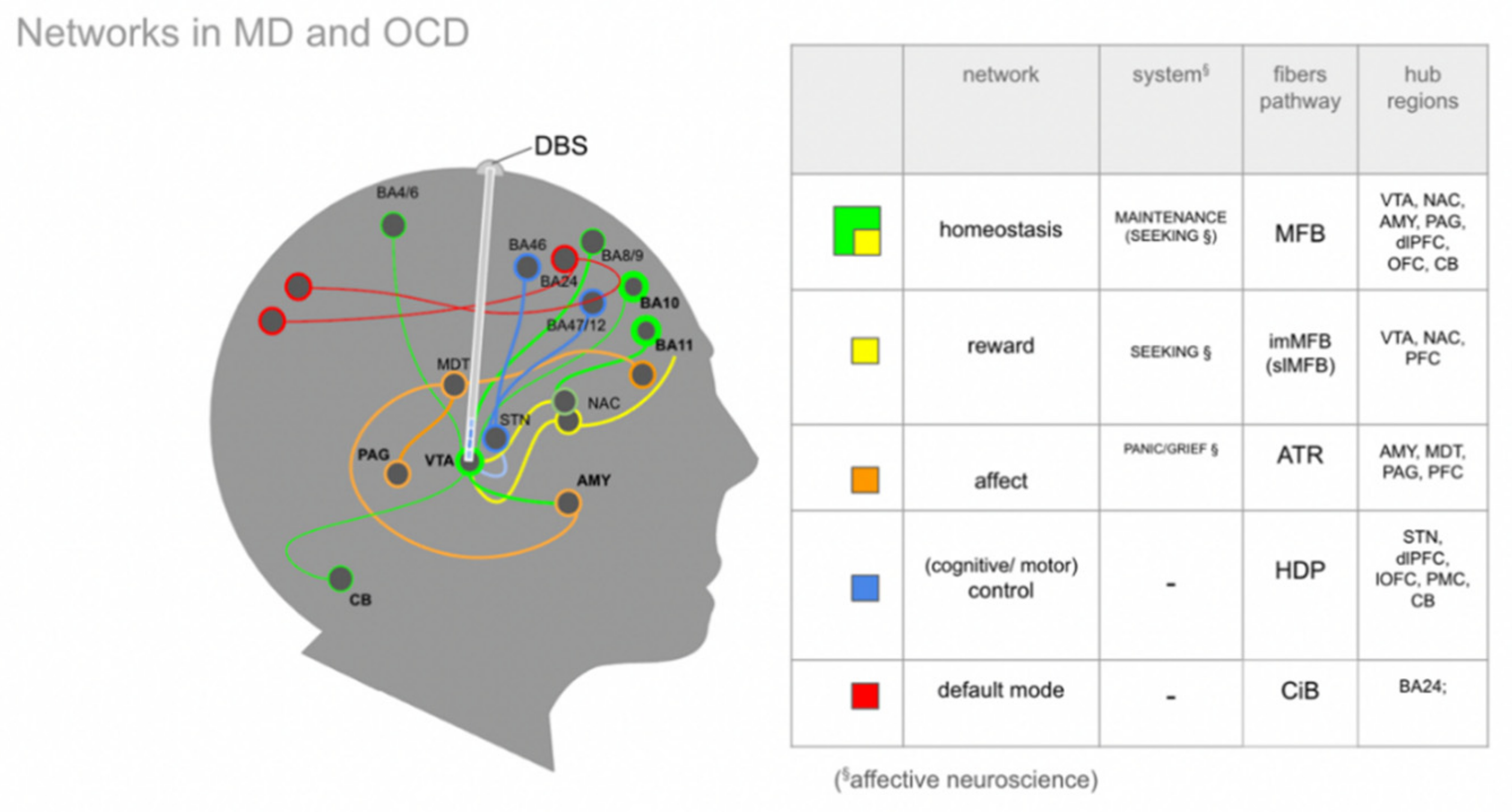 Brainsci 12 00438 g003