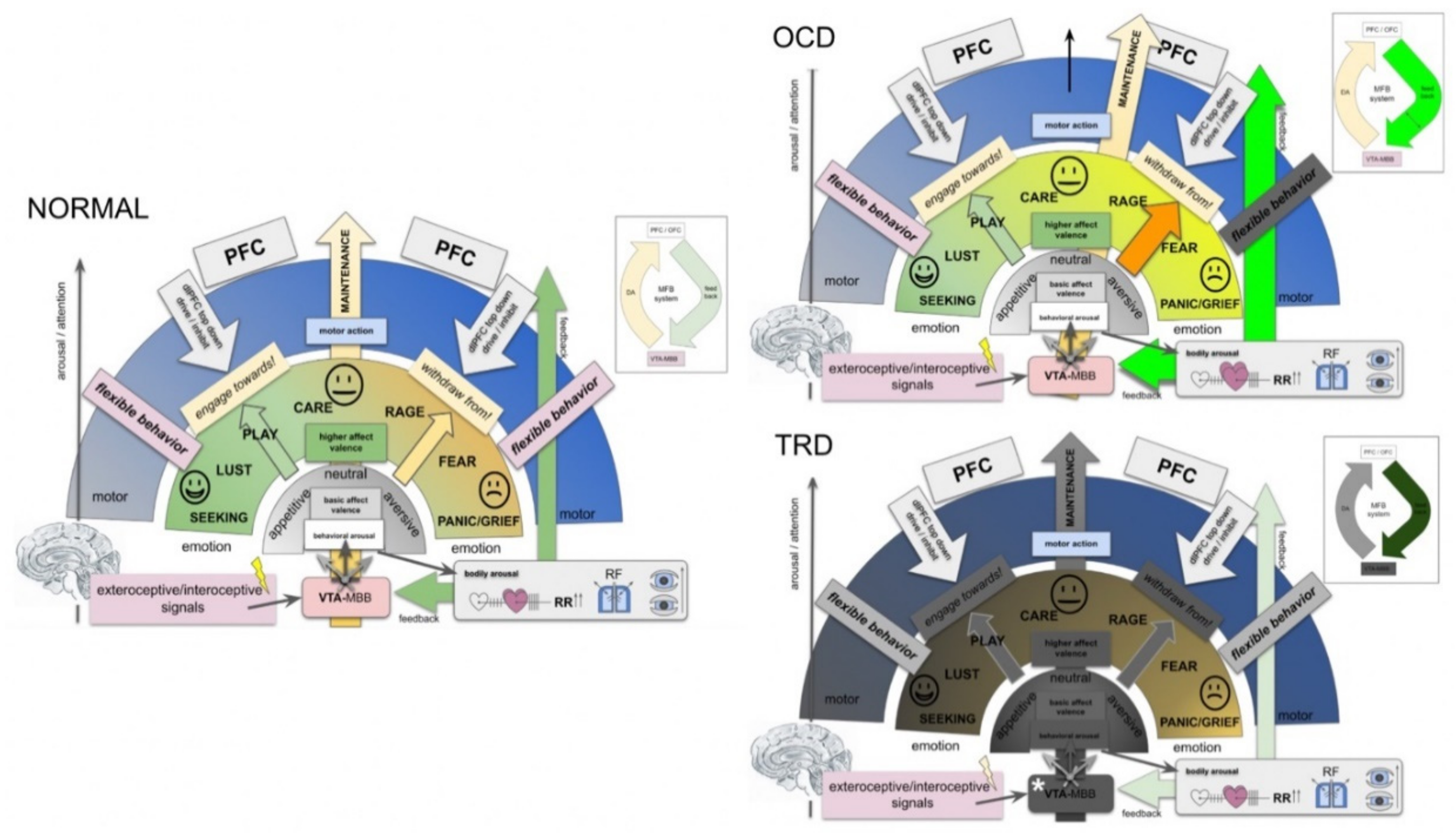Brainsci 12 00438 g007