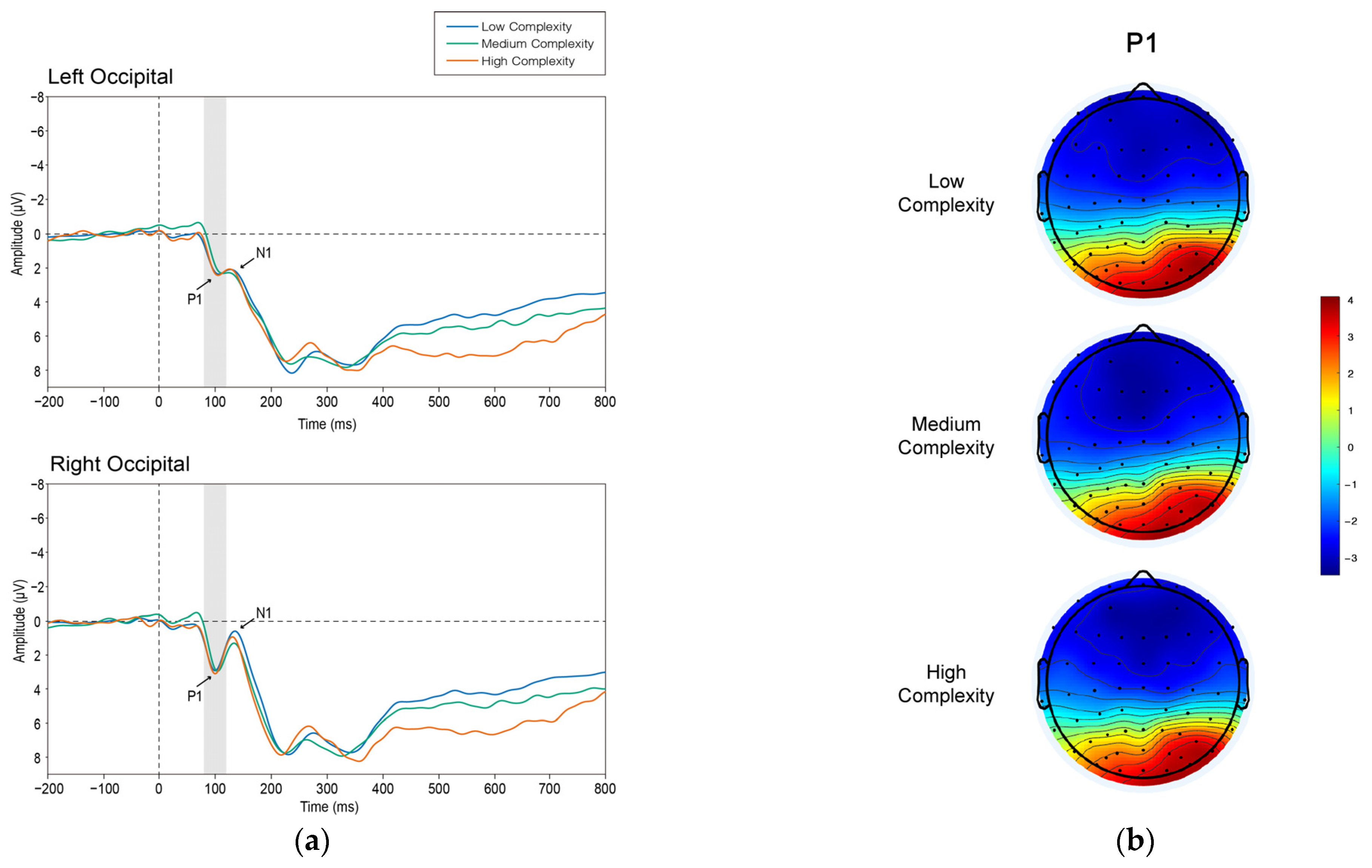 Brainsci 12 00447 g004